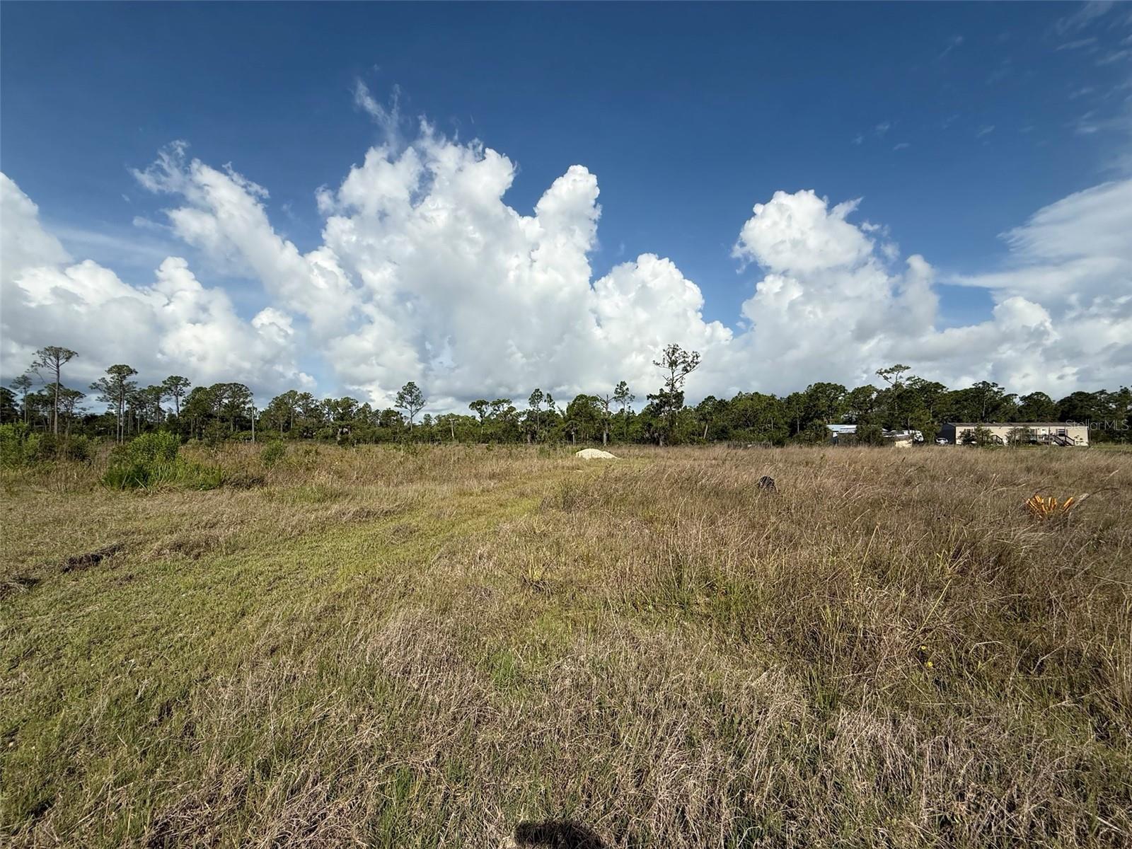 Details for 29460 Polk Drive, PUNTA GORDA, FL 33982