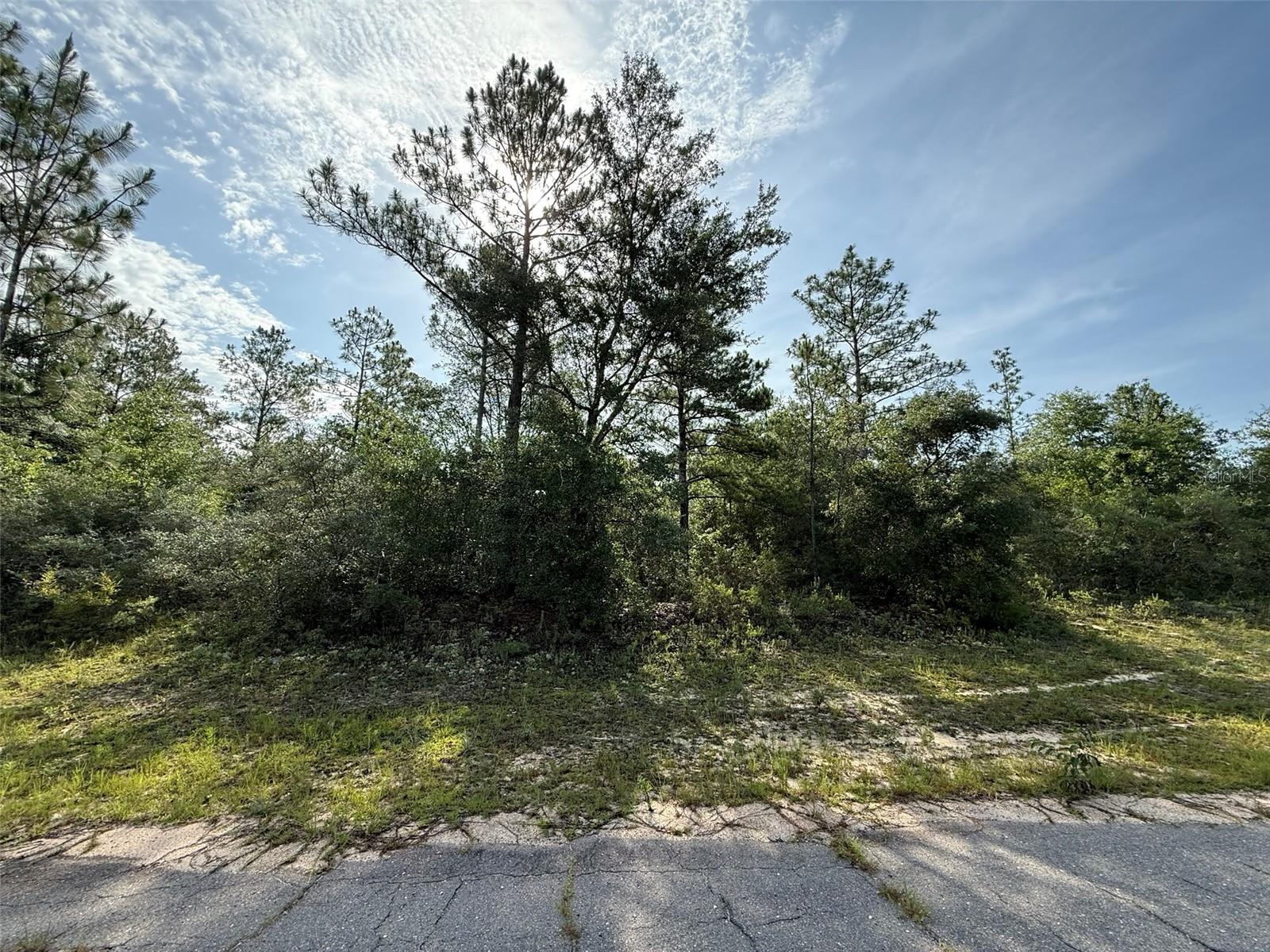 Image 5 of 9 For Sullivan Drive