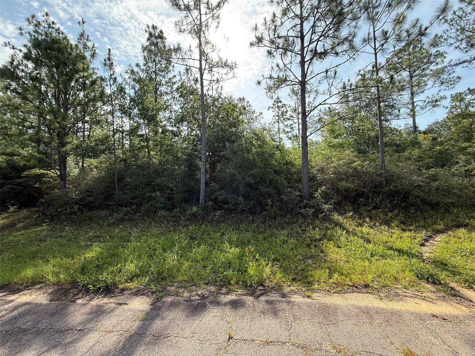 Image 7 of 9 For Sullivan Drive