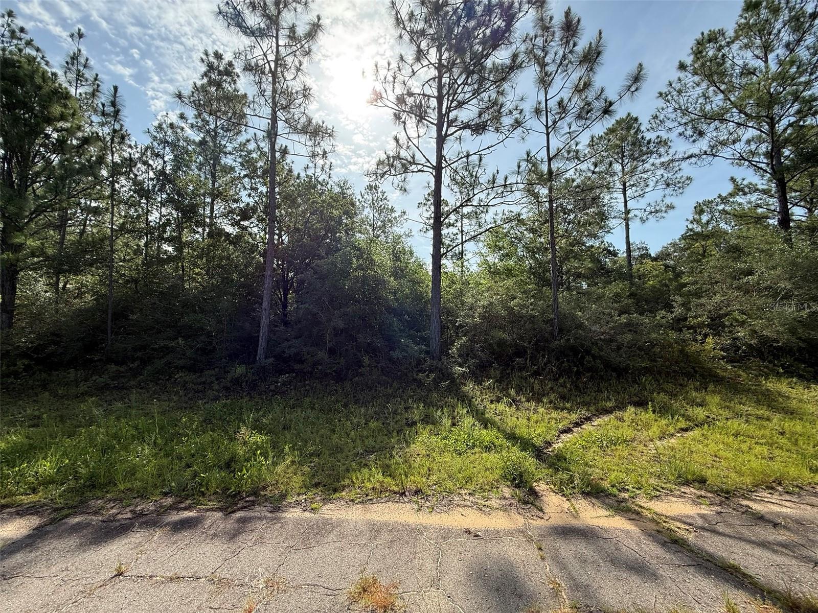 Image 9 of 9 For Sullivan Drive