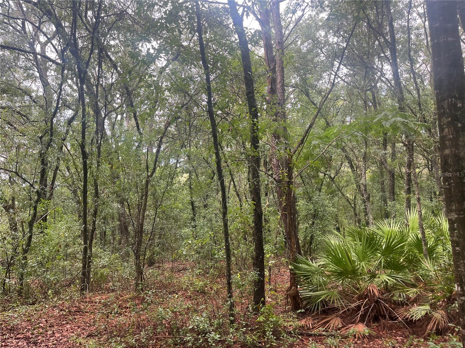 Details for Tbd Delaware Avenue, INTERLACHEN, FL 32148