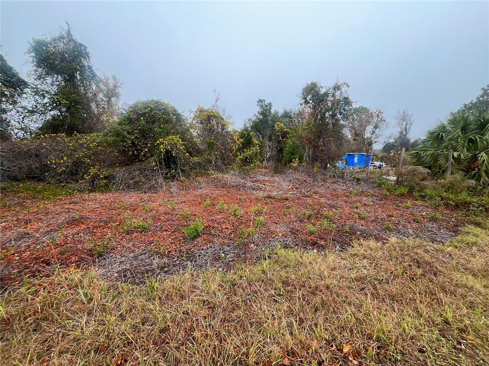 Details for 512 Dogwood Avenue, GEORGETOWN, FL 32139