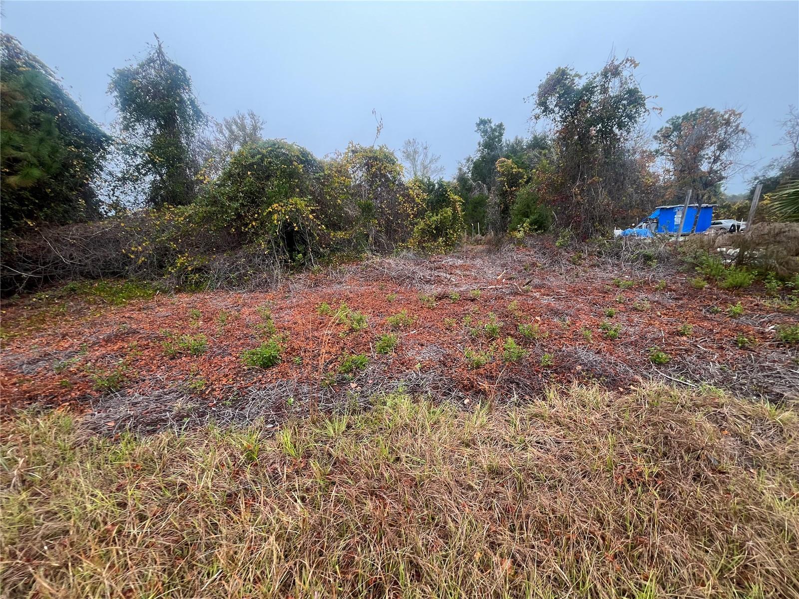 Image 13 of 19 For 512 Dogwood Avenue