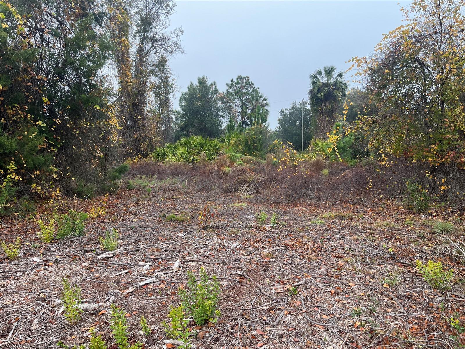 Image 17 of 19 For 512 Dogwood Avenue