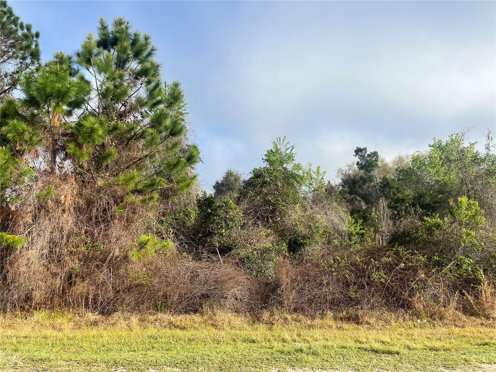Image 4 of 19 For 512 Dogwood Avenue