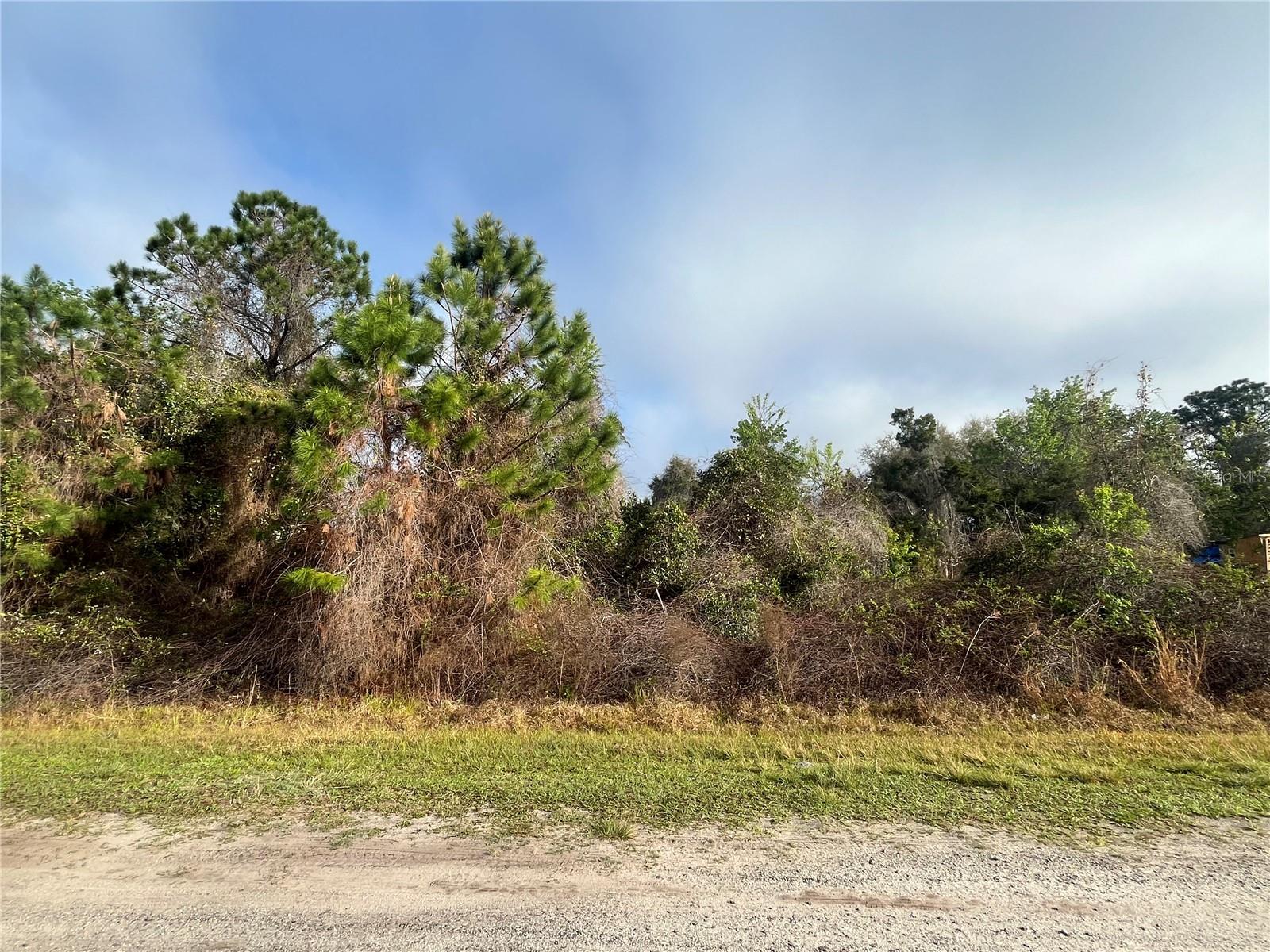 Image 5 of 19 For 512 Dogwood Avenue