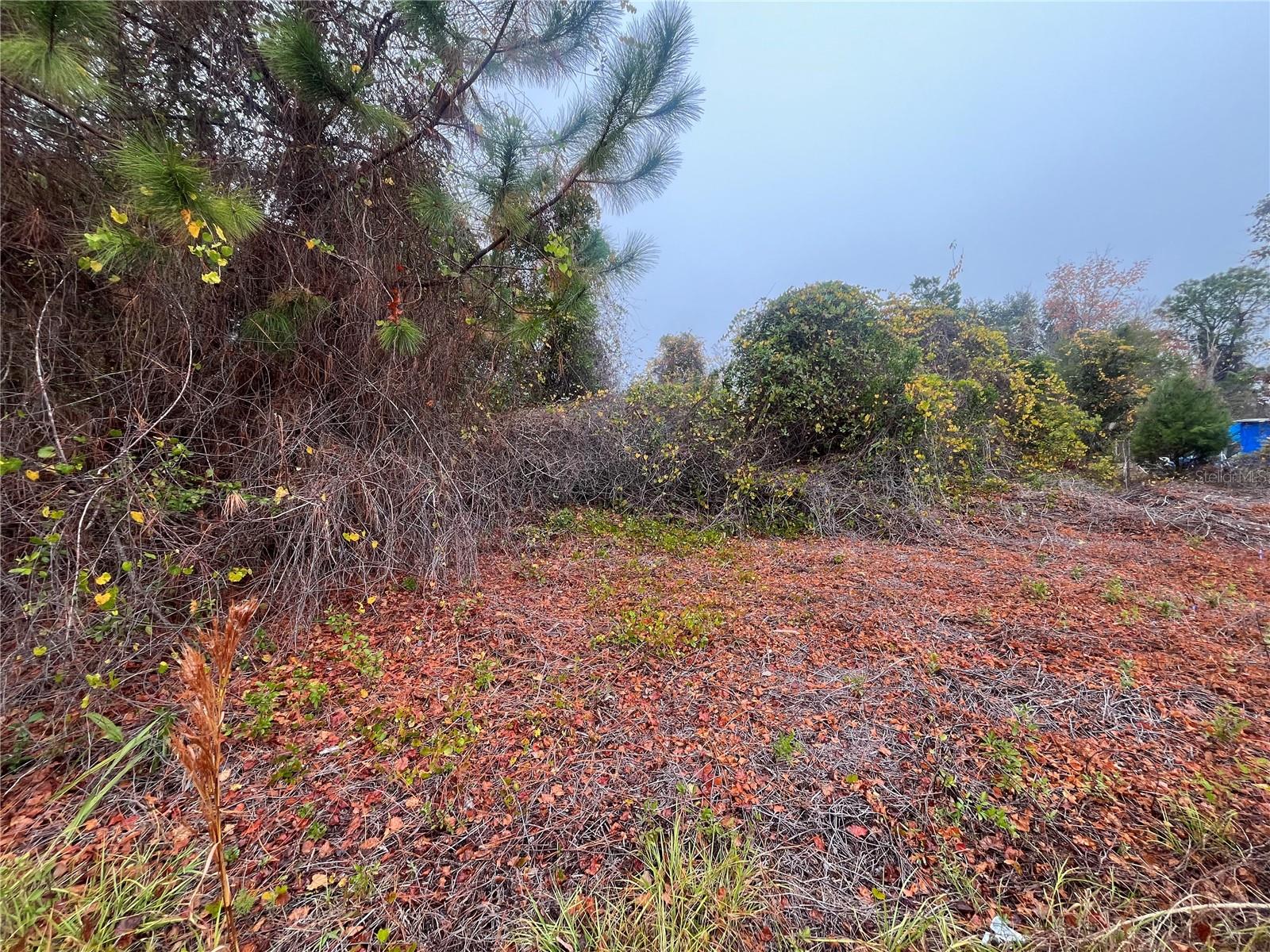 Image 6 of 19 For 512 Dogwood Avenue