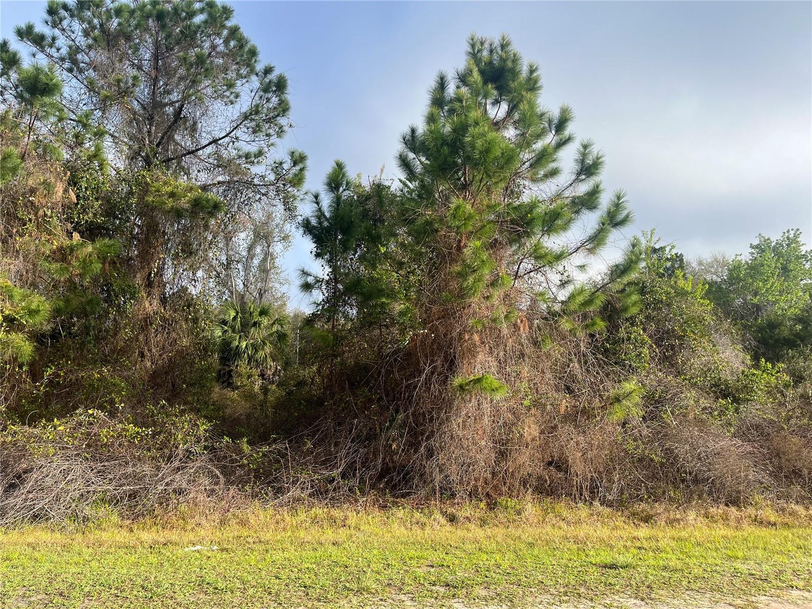 Image 8 of 19 For 512 Dogwood Avenue