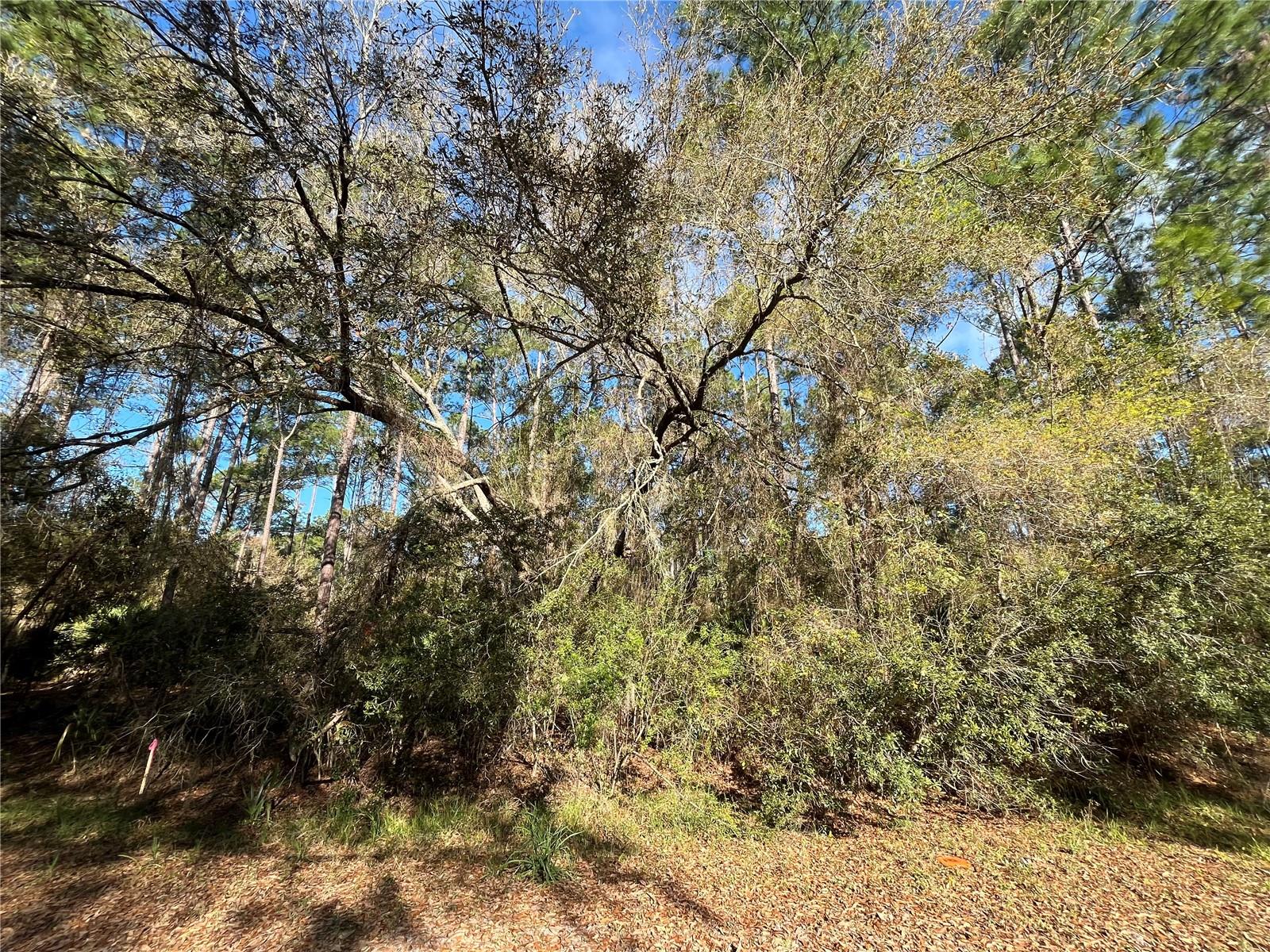 Details for 104 5th Street, GEORGETOWN, FL 32139
