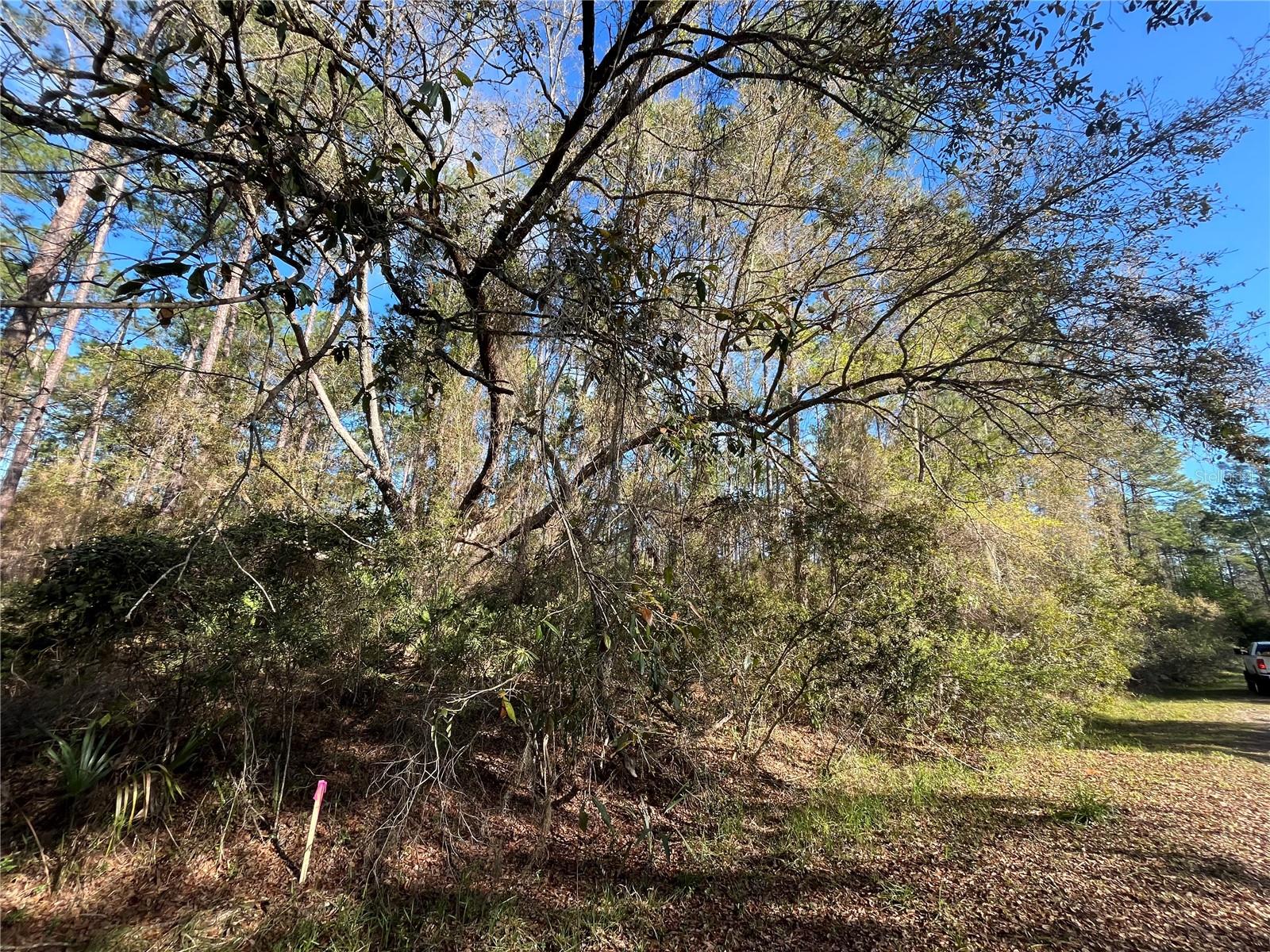 Image 4 of 6 For 104 5th Street
