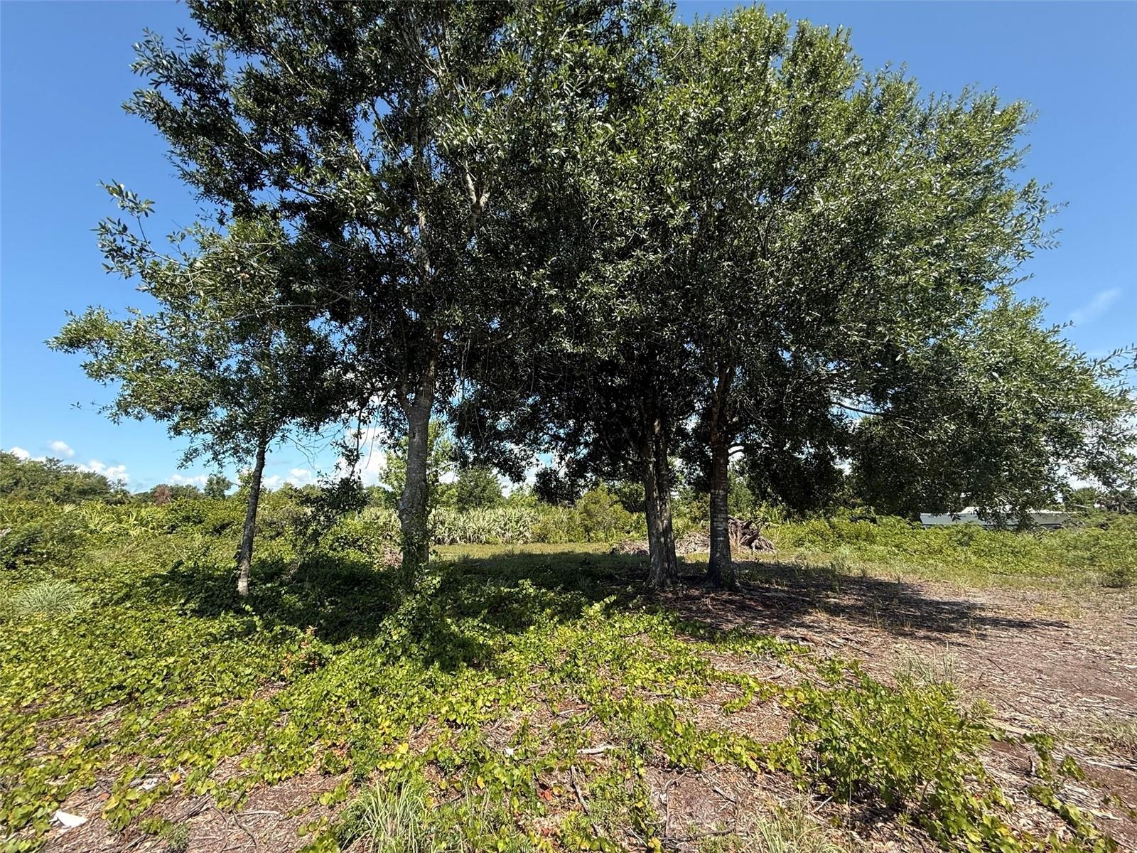 Image 4 of 15 For 15789 254th Street
