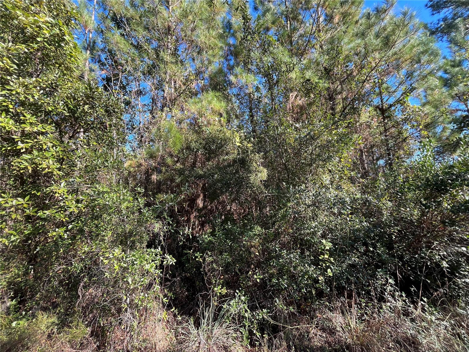 Image 3 of 7 For 223 Mourning Dove Road