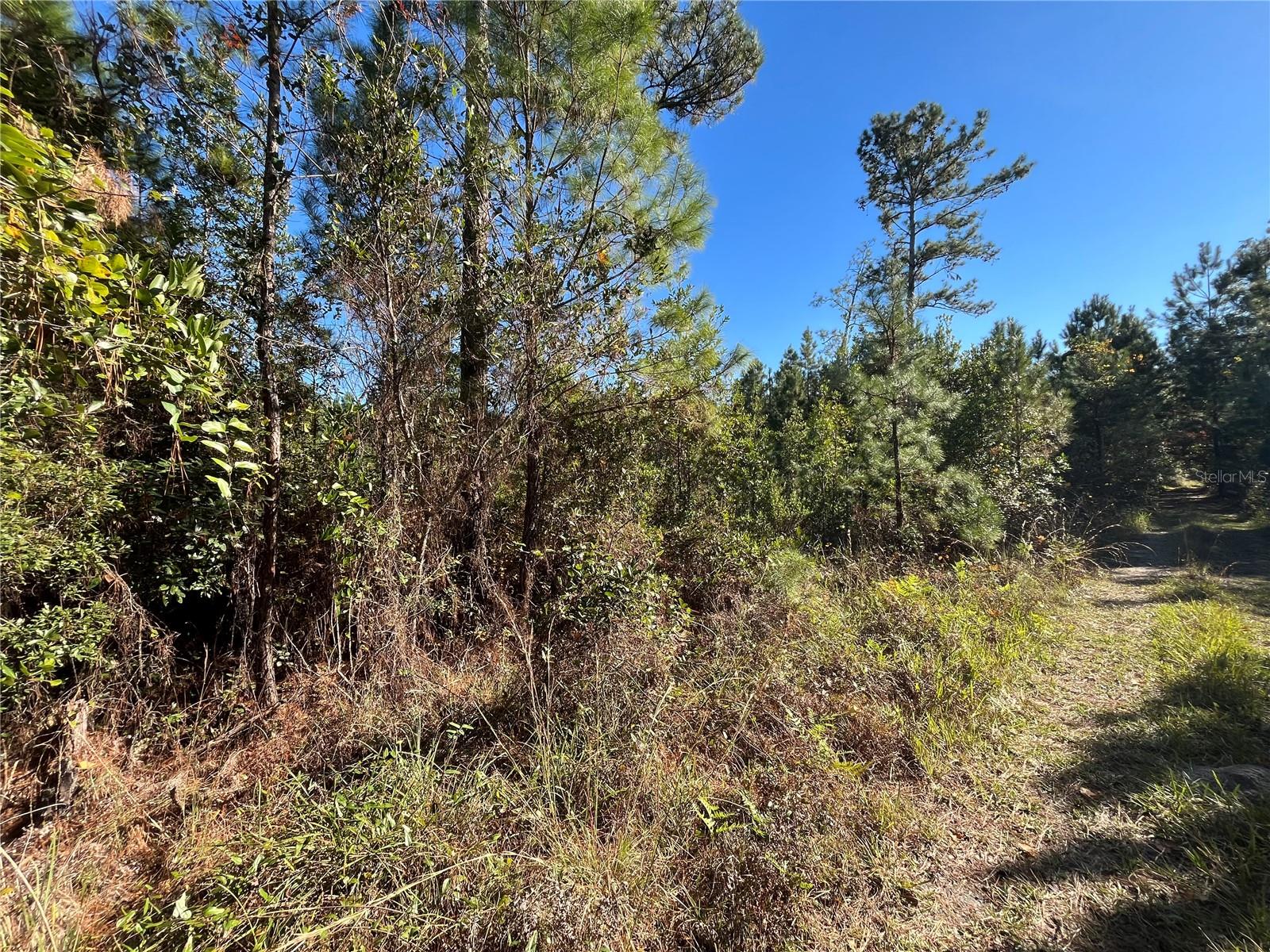 Image 7 of 7 For 223 Mourning Dove Road