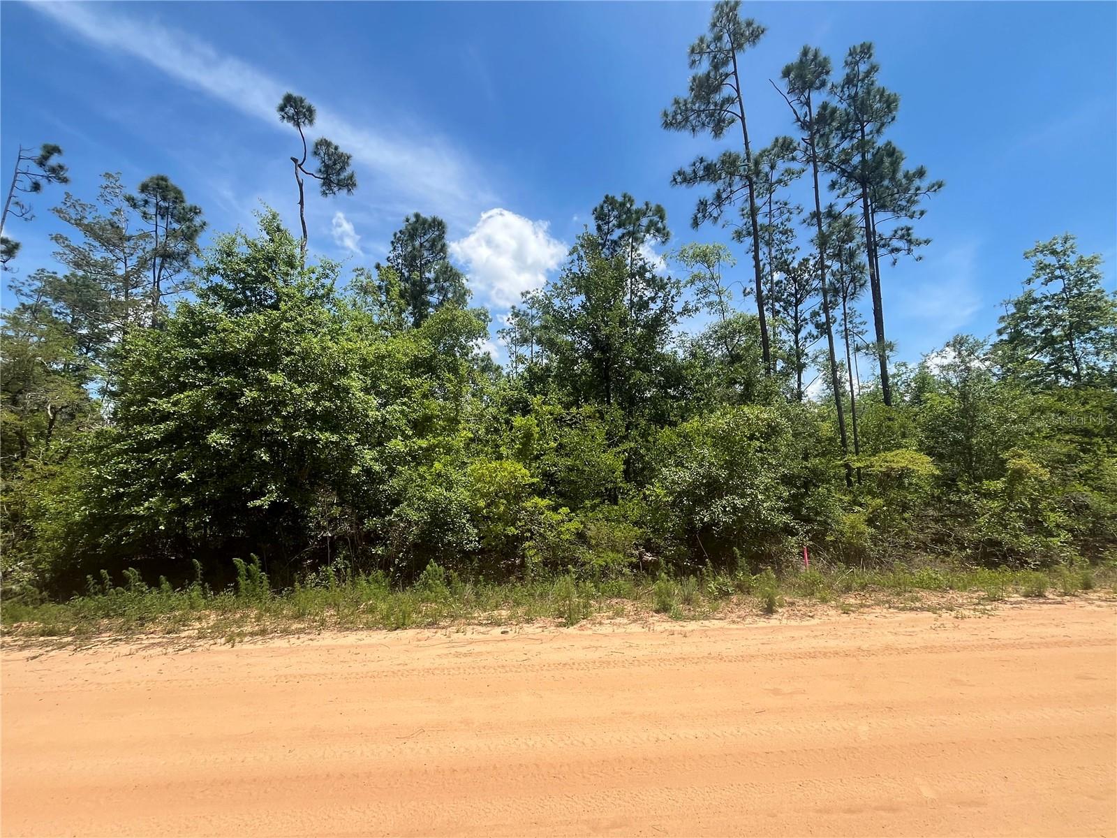 Details for Tamarac Road, MARIANNA, FL 32448