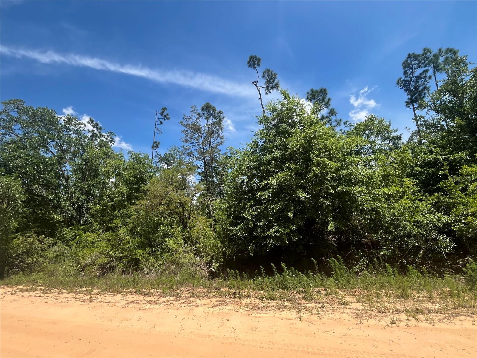 Image 4 of 9 For Tamarac Road