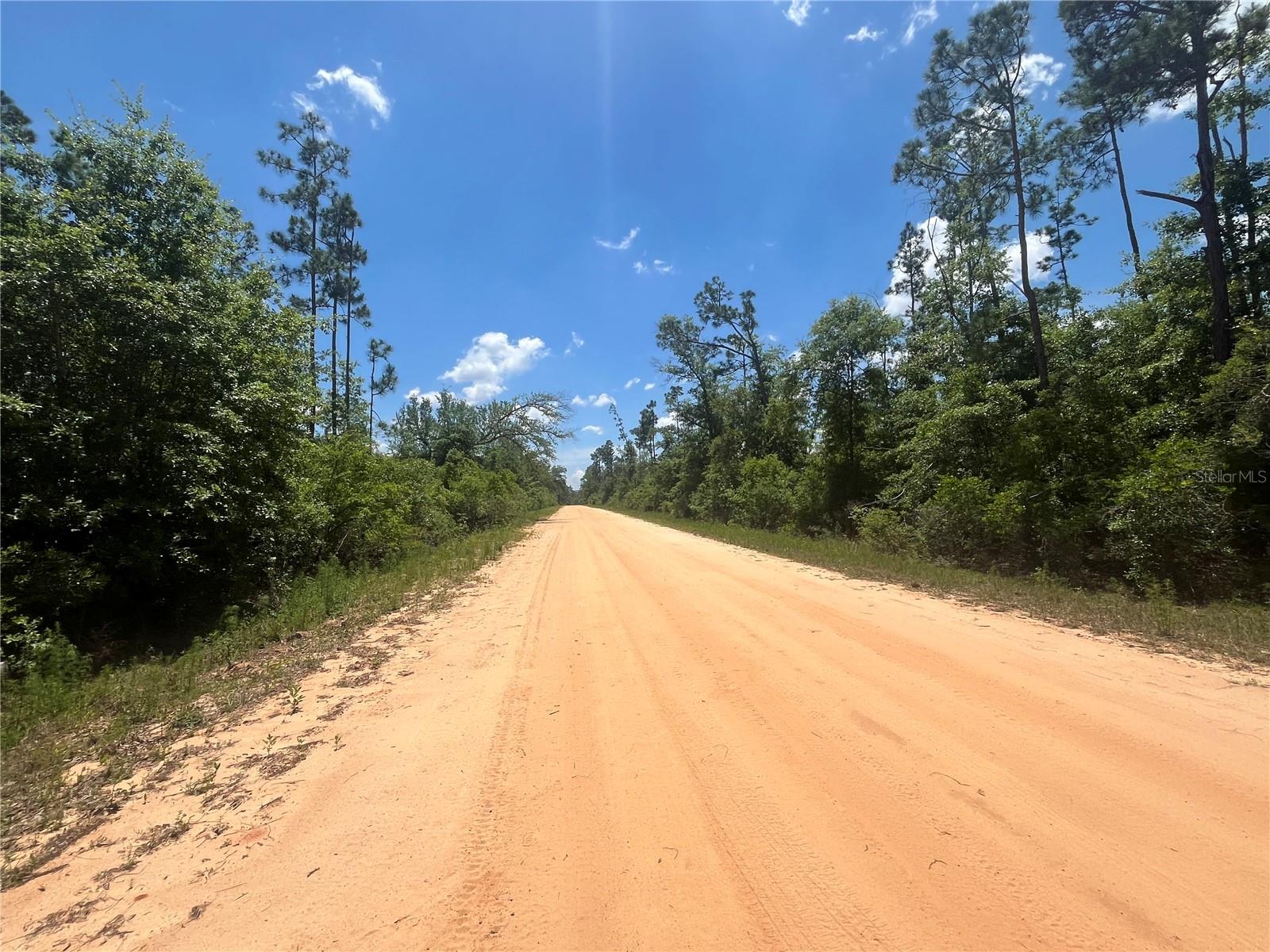 Image 6 of 9 For Tamarac Road