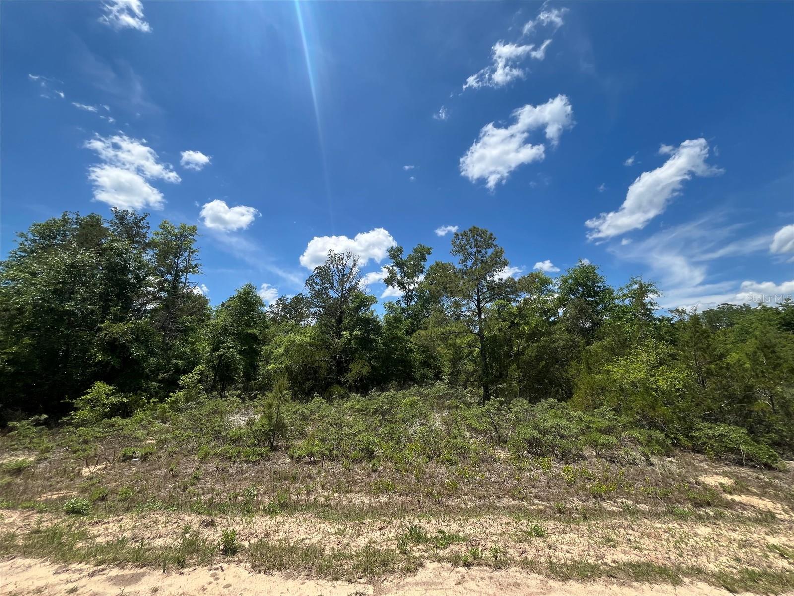 Image 7 of 13 For Tbd Magnolia Lane