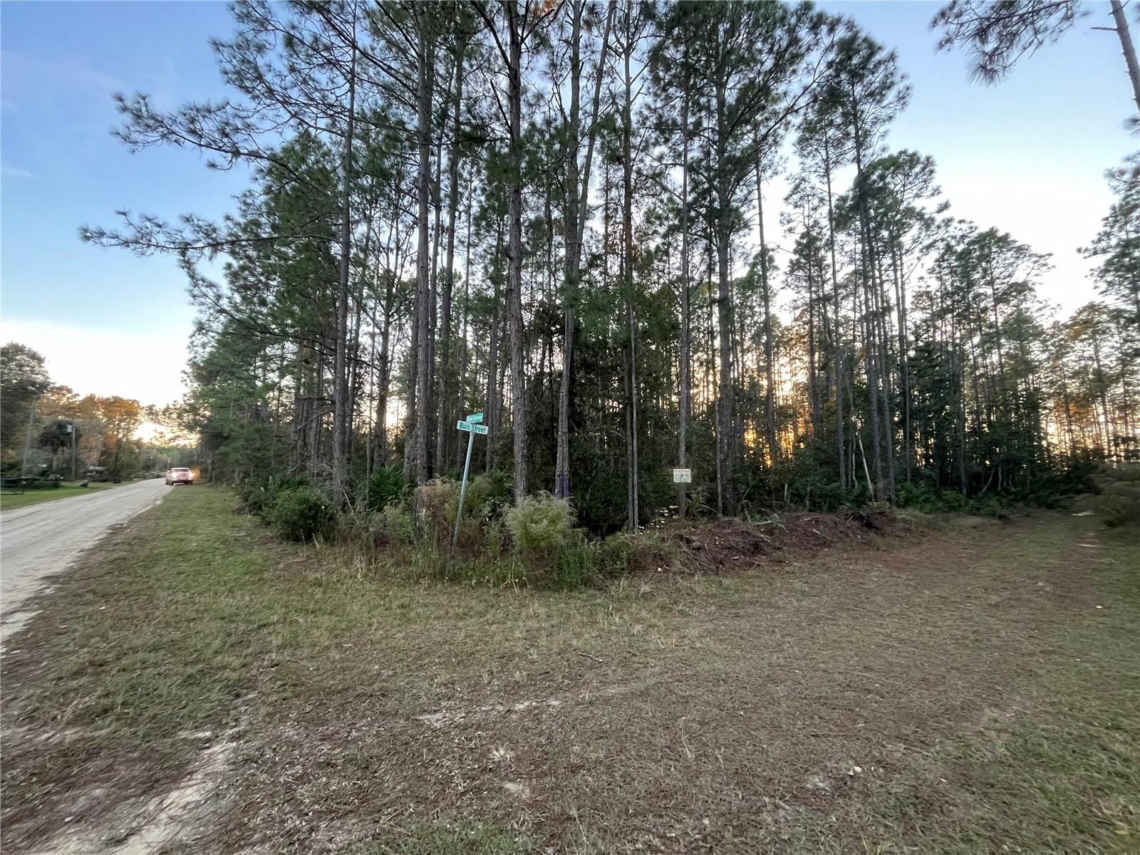 Image 6 of 15 For Tbd Royal Avenue