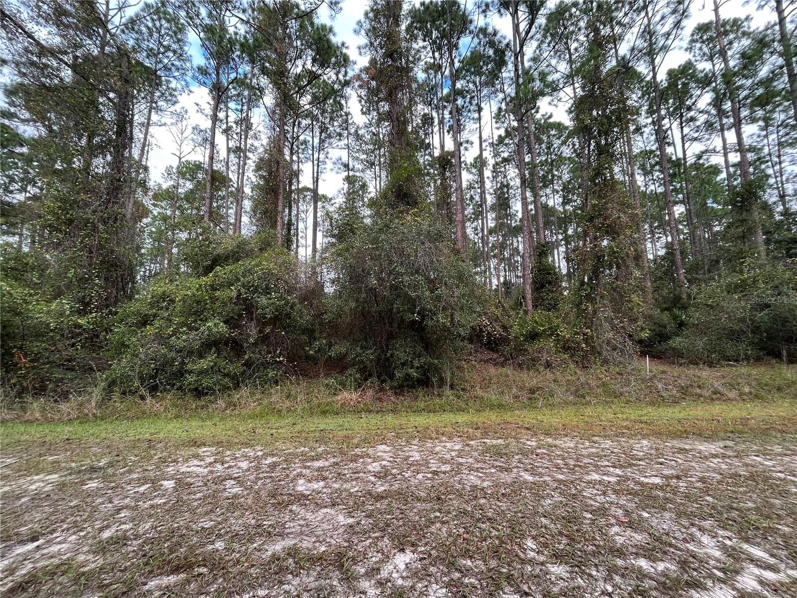 Details for 108 5th Street, GEORGETOWN, FL 32139