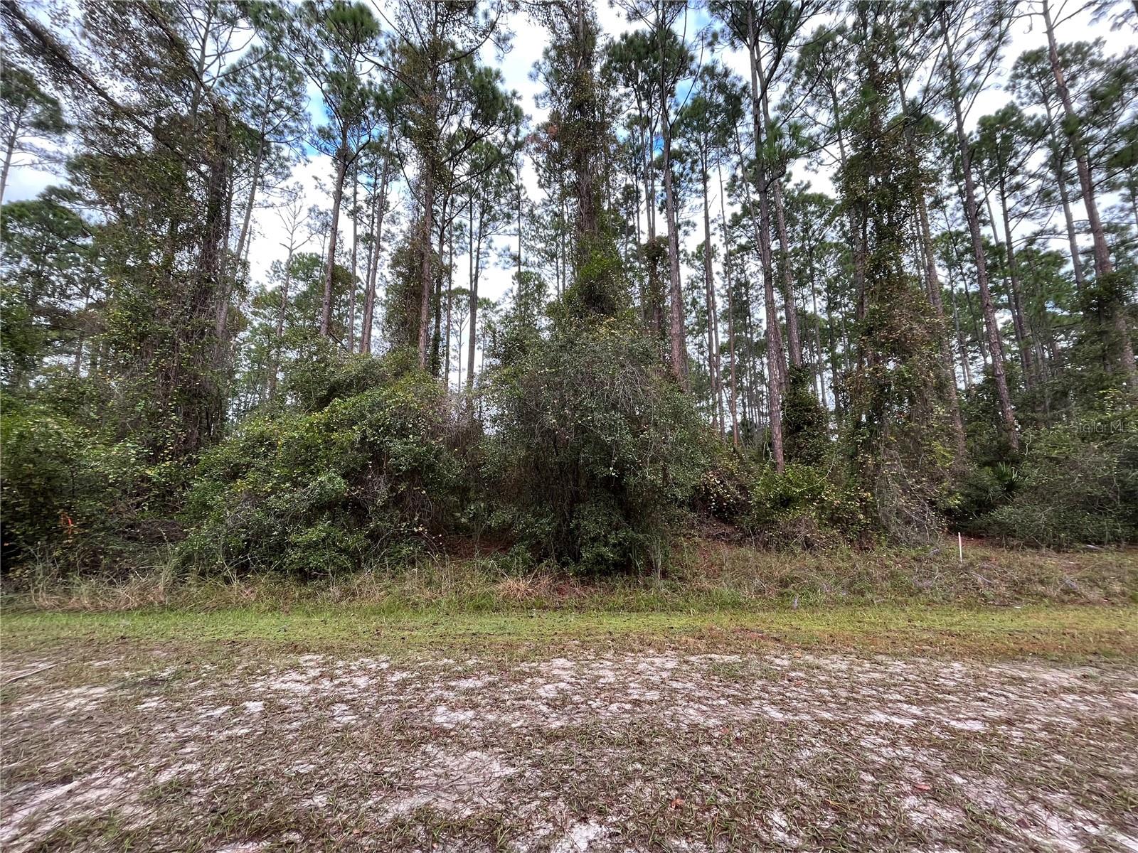 Image 2 of 7 For 108 5th Street