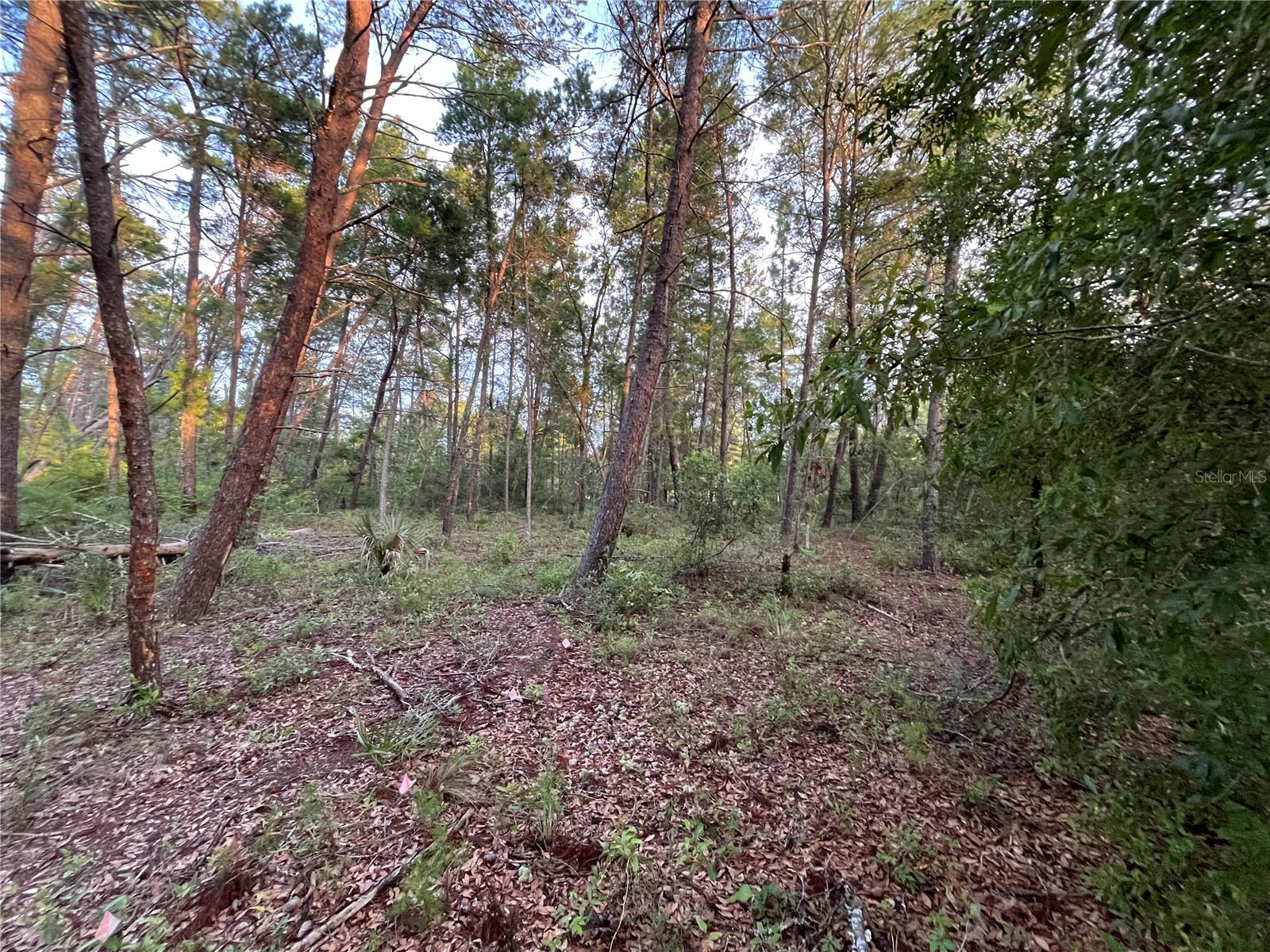 Details for Tbd Twin Lakes Road, INTERLACHEN, FL 32148