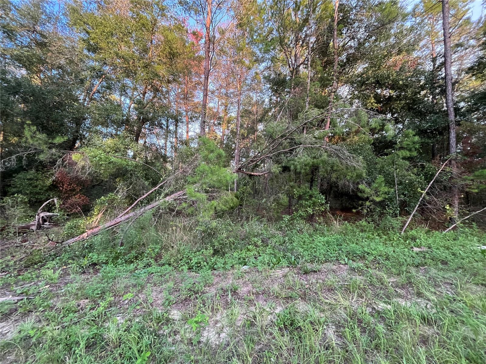 Image 2 of 9 For Tbd Twin Lakes Road