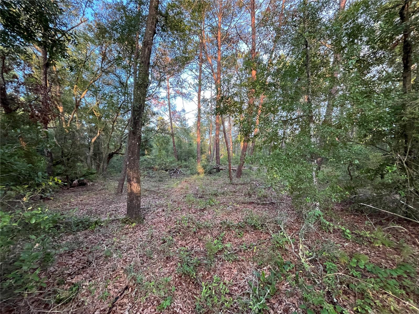 Image 3 of 9 For Tbd Twin Lakes Road