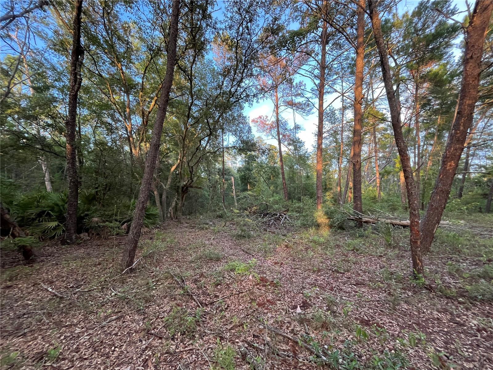 Image 5 of 9 For Tbd Twin Lakes Road