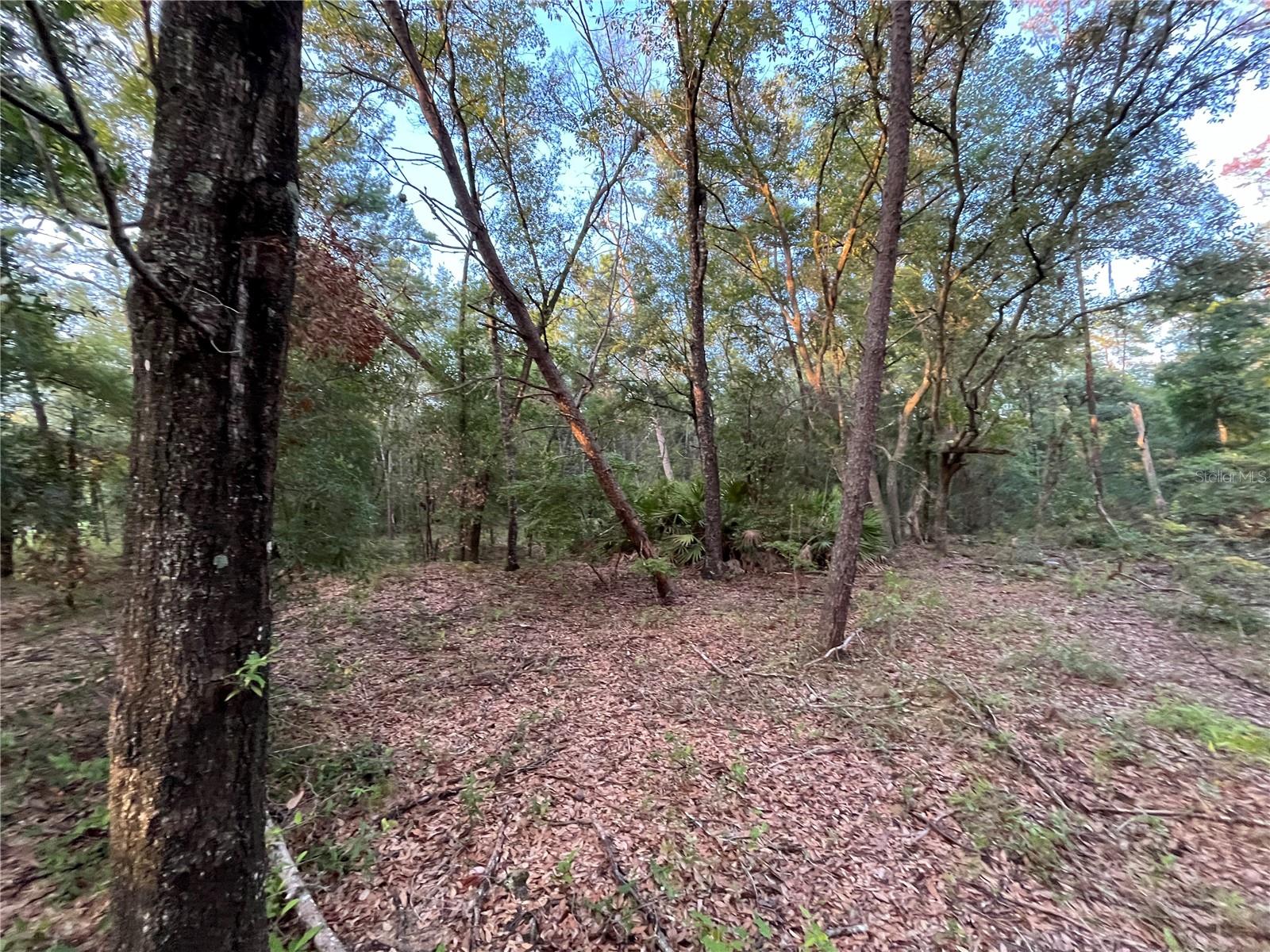 Image 6 of 9 For Tbd Twin Lakes Road