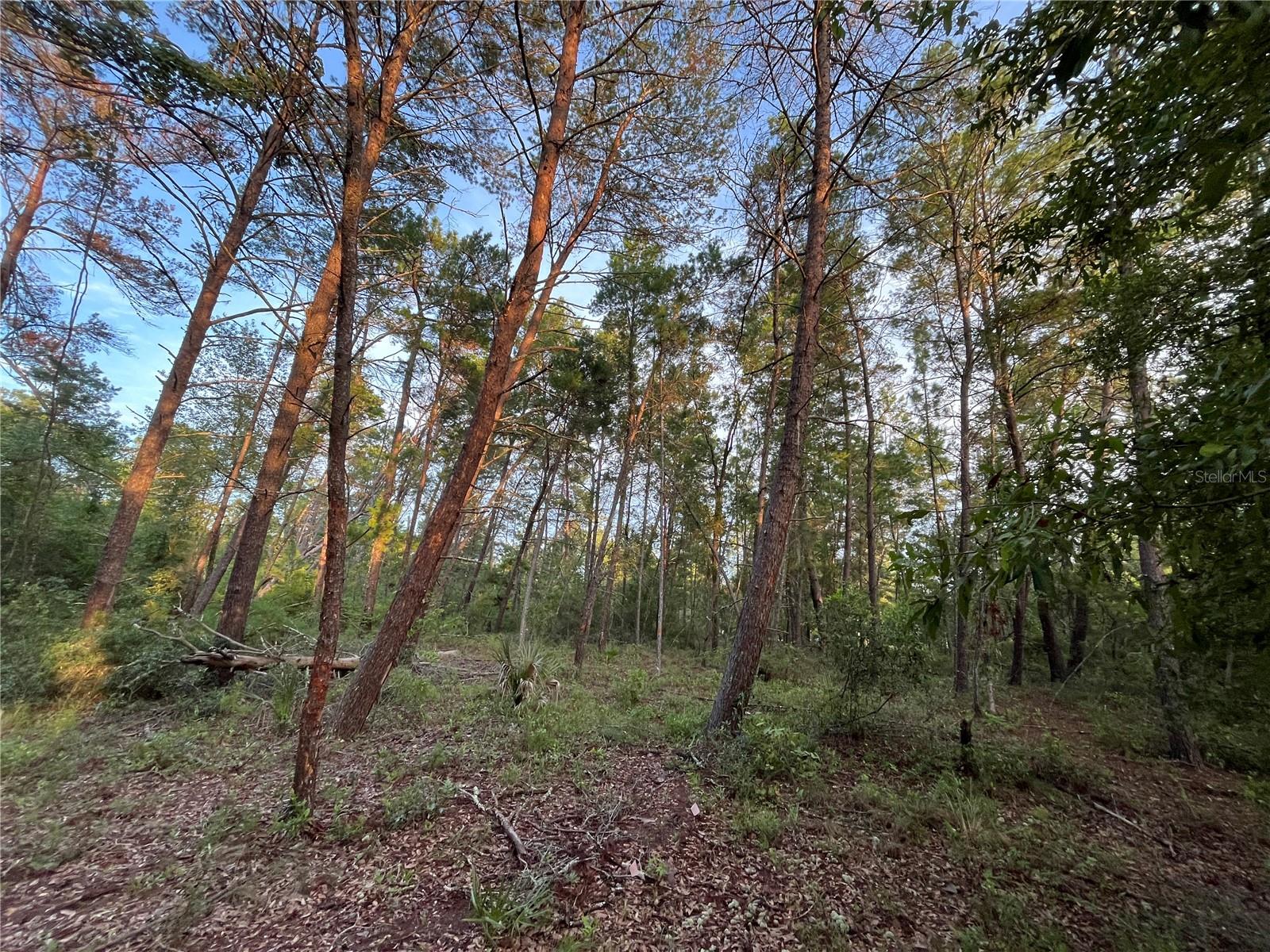 Image 7 of 9 For Tbd Twin Lakes Road