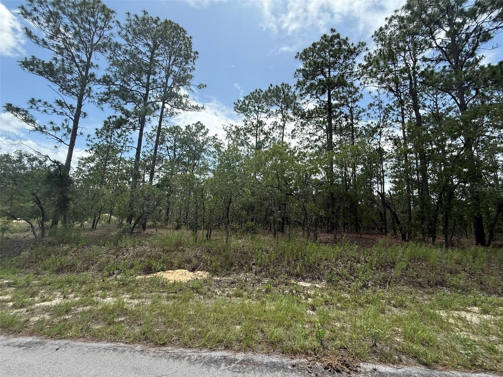 Image 4 of 9 For Tree Top Road