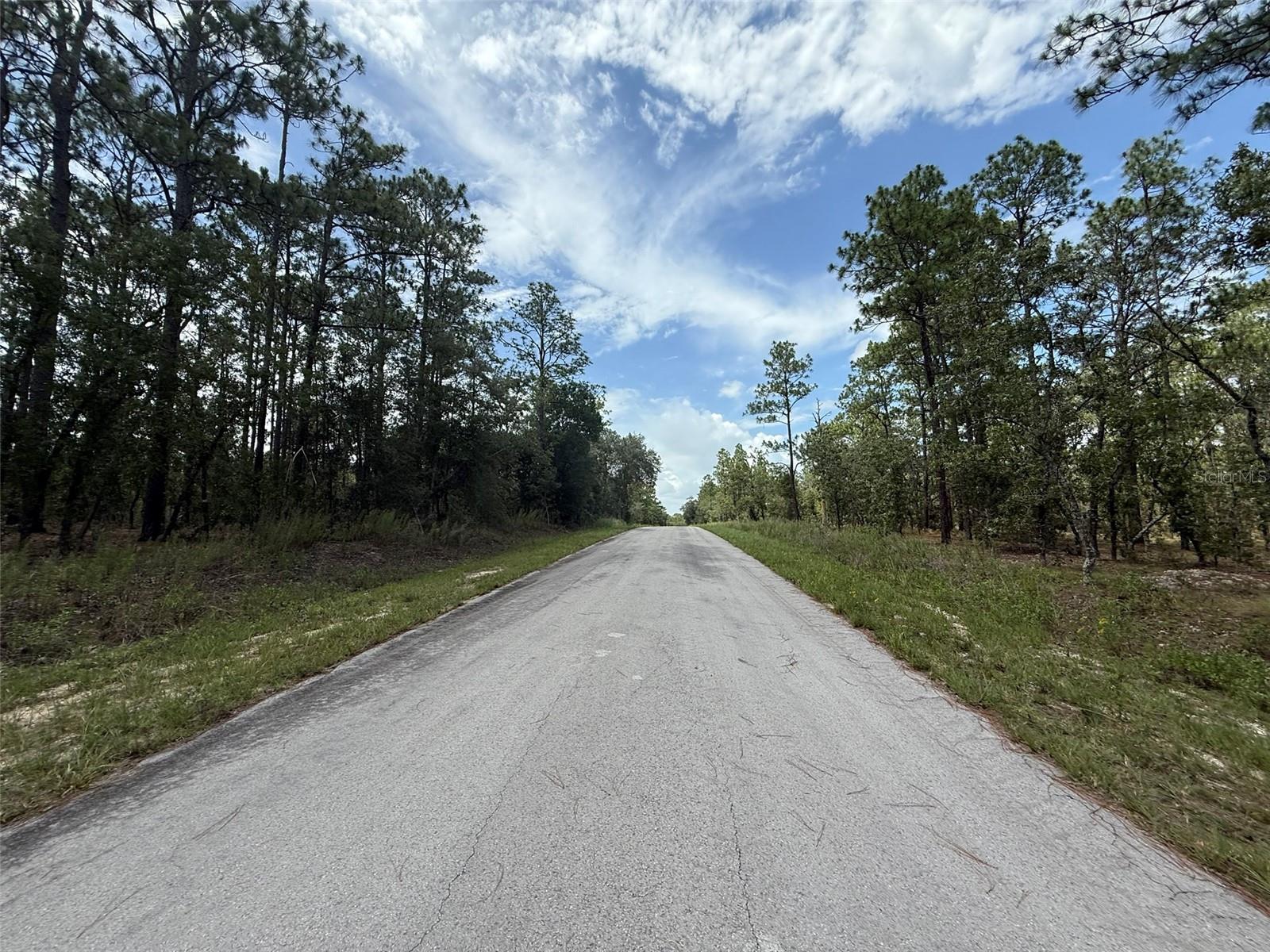 Image 5 of 9 For Tree Top Road