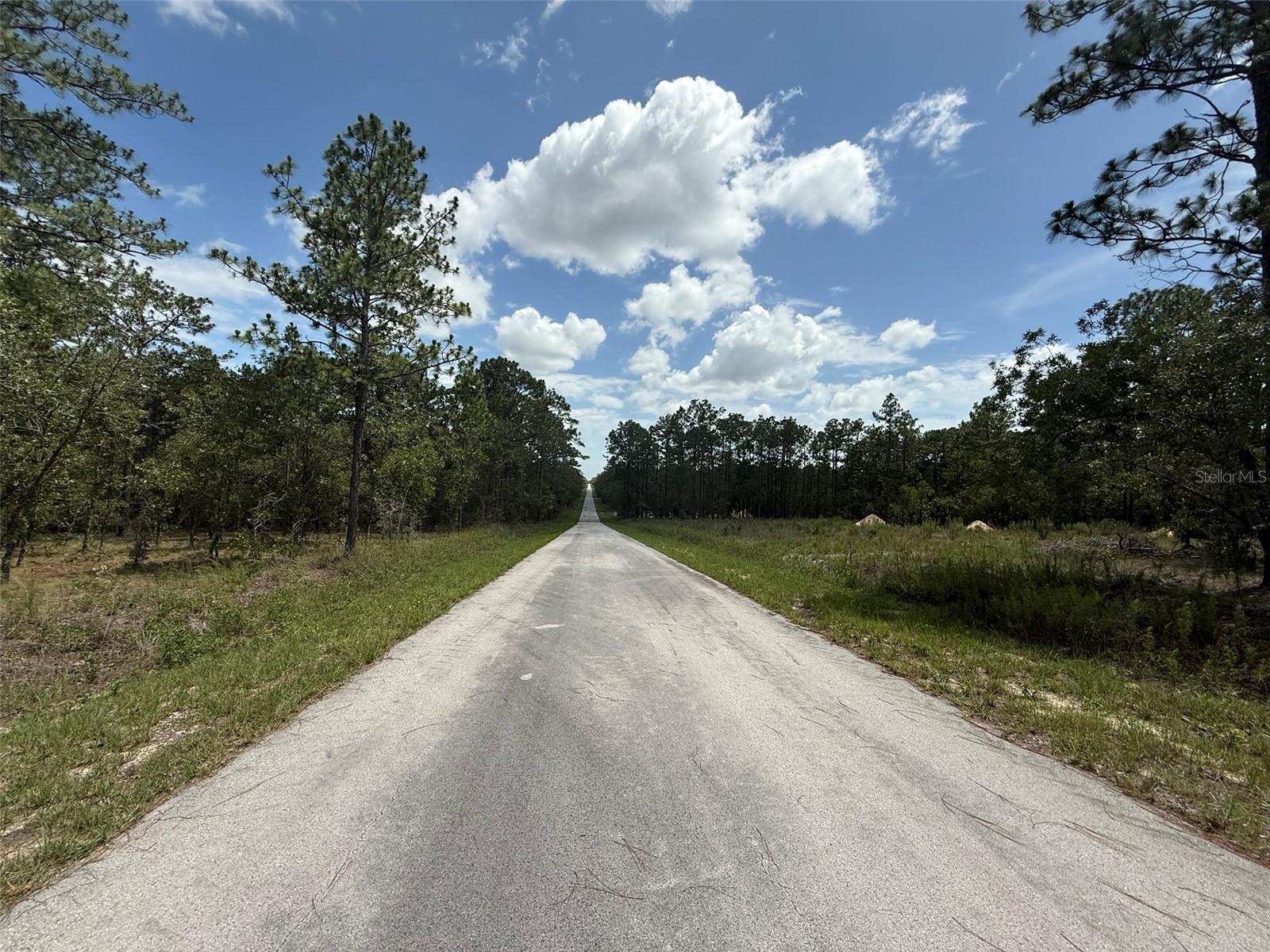 Image 9 of 9 For Tree Top Road