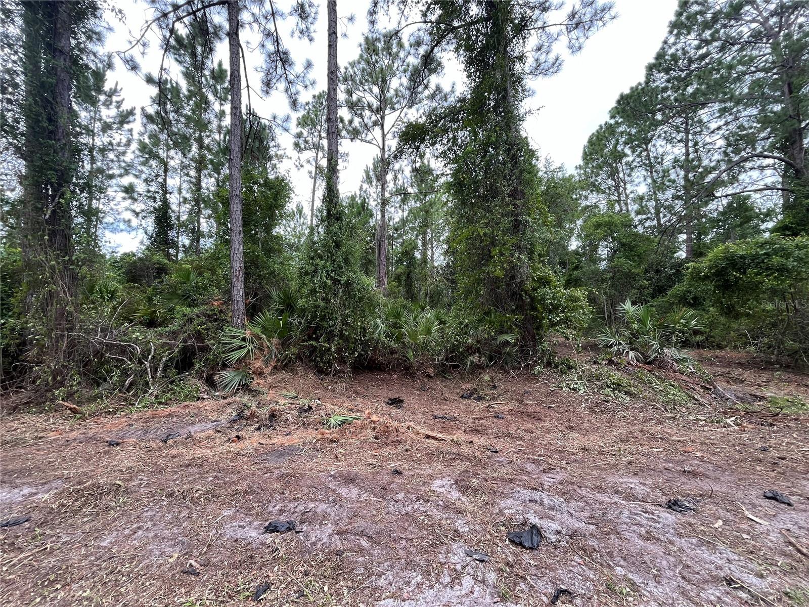 Details for 147 Roebuck Street, GEORGETOWN, FL 32139