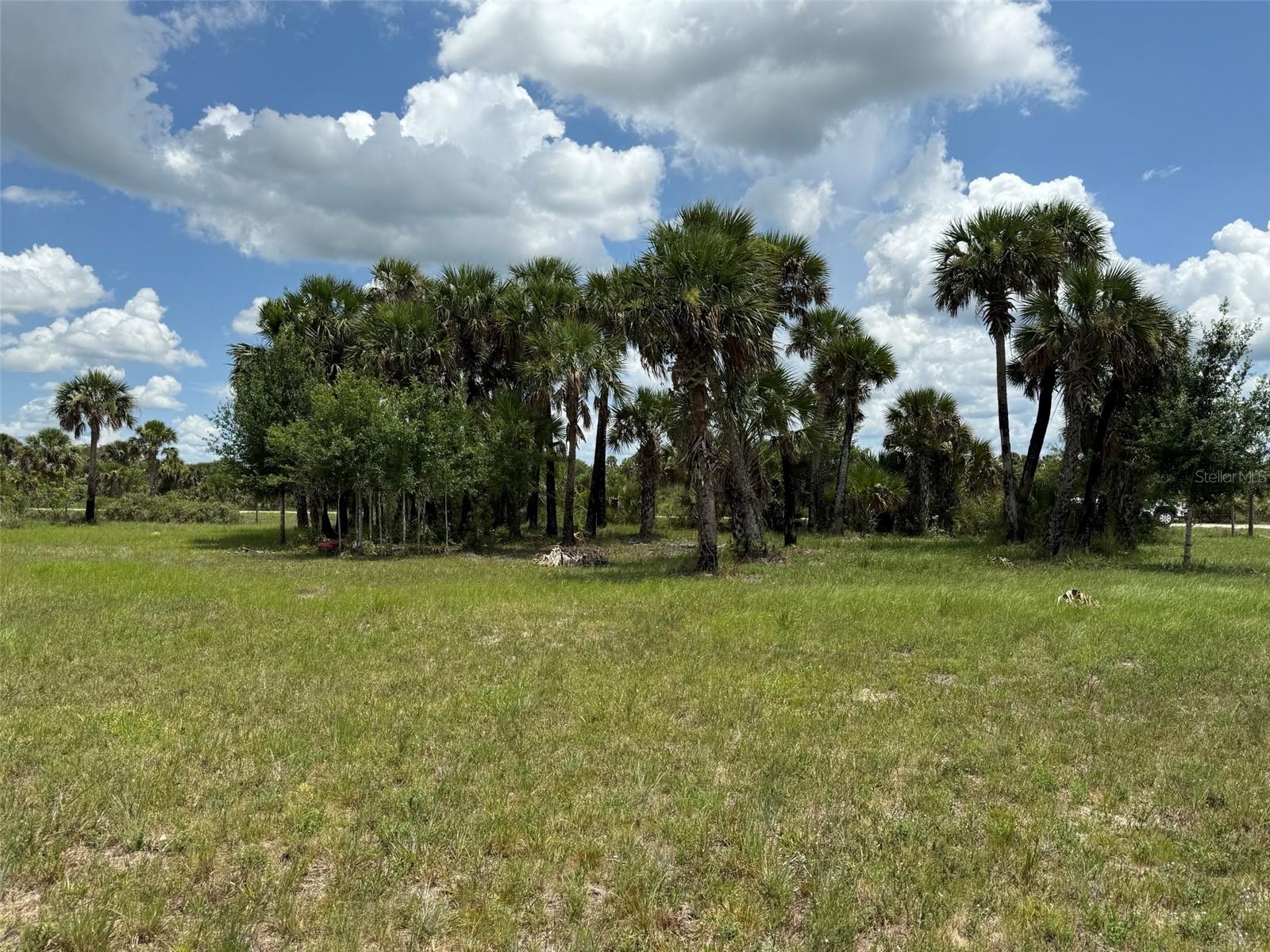 Details for 15775 288th Street, OKEECHOBEE, FL 34972