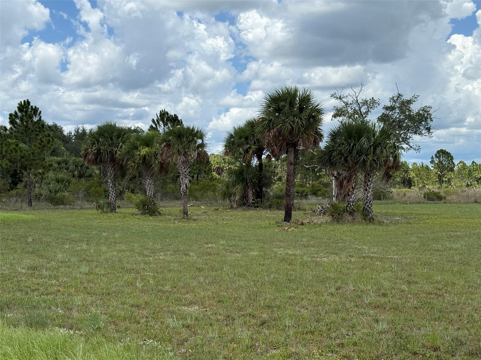 Image 11 of 21 For 15775 288th Street