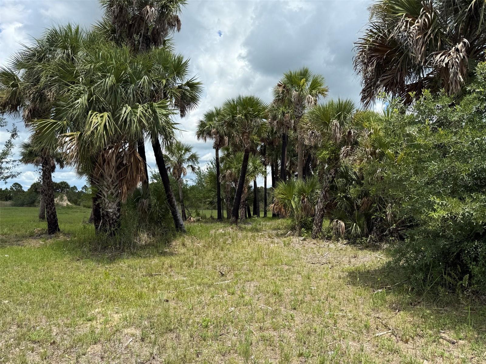 Image 14 of 21 For 15775 288th Street