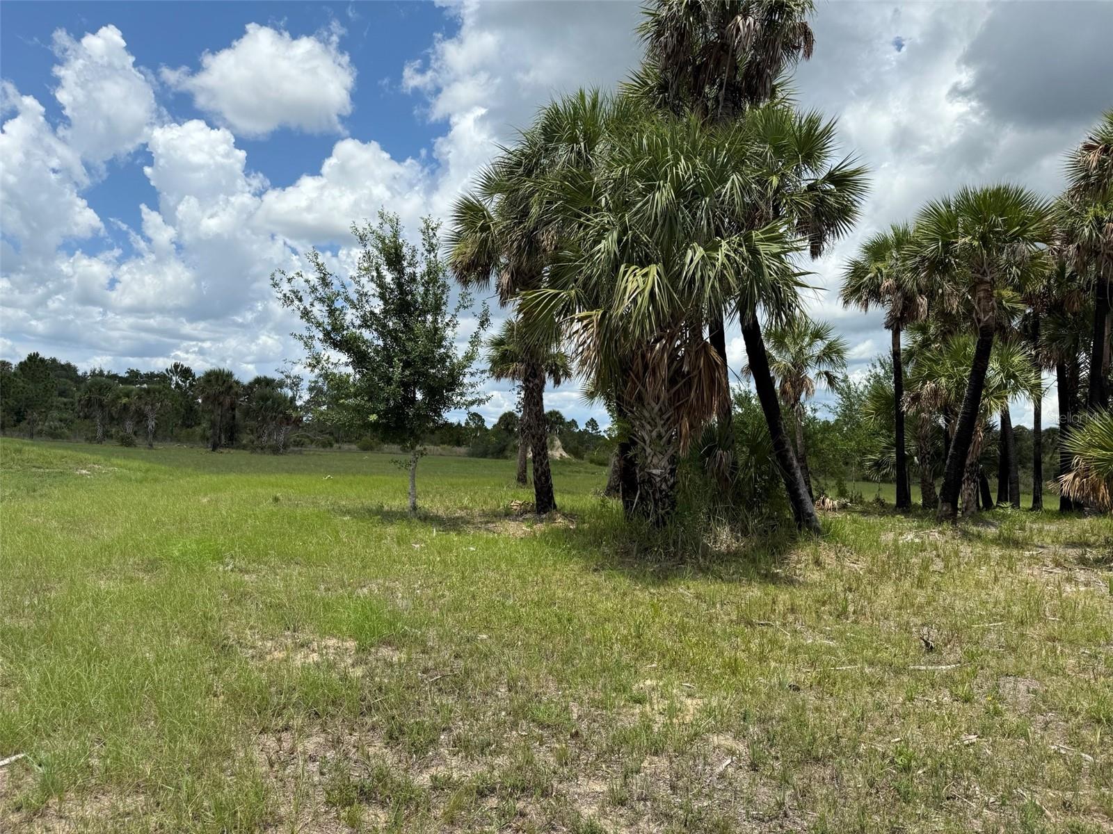 Image 15 of 21 For 15775 288th Street