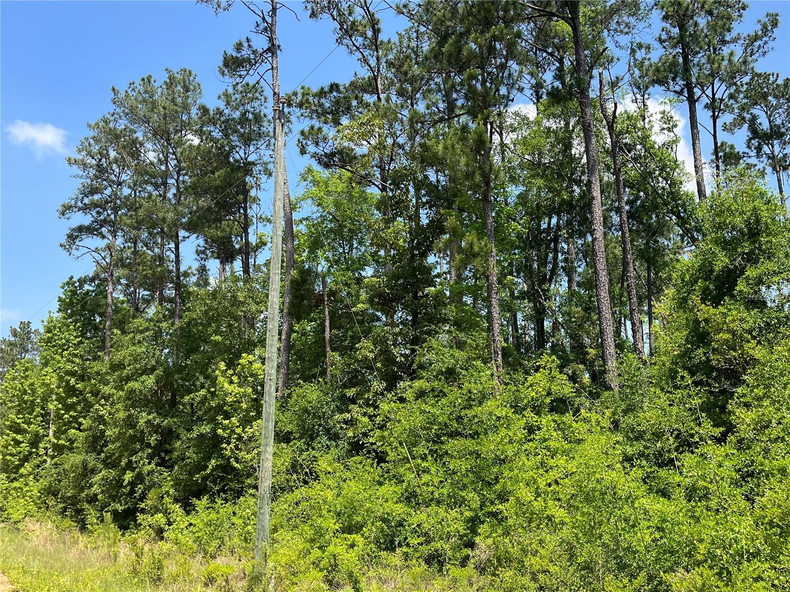 Image 4 of 8 For Tbd Grand Quiviera Circle