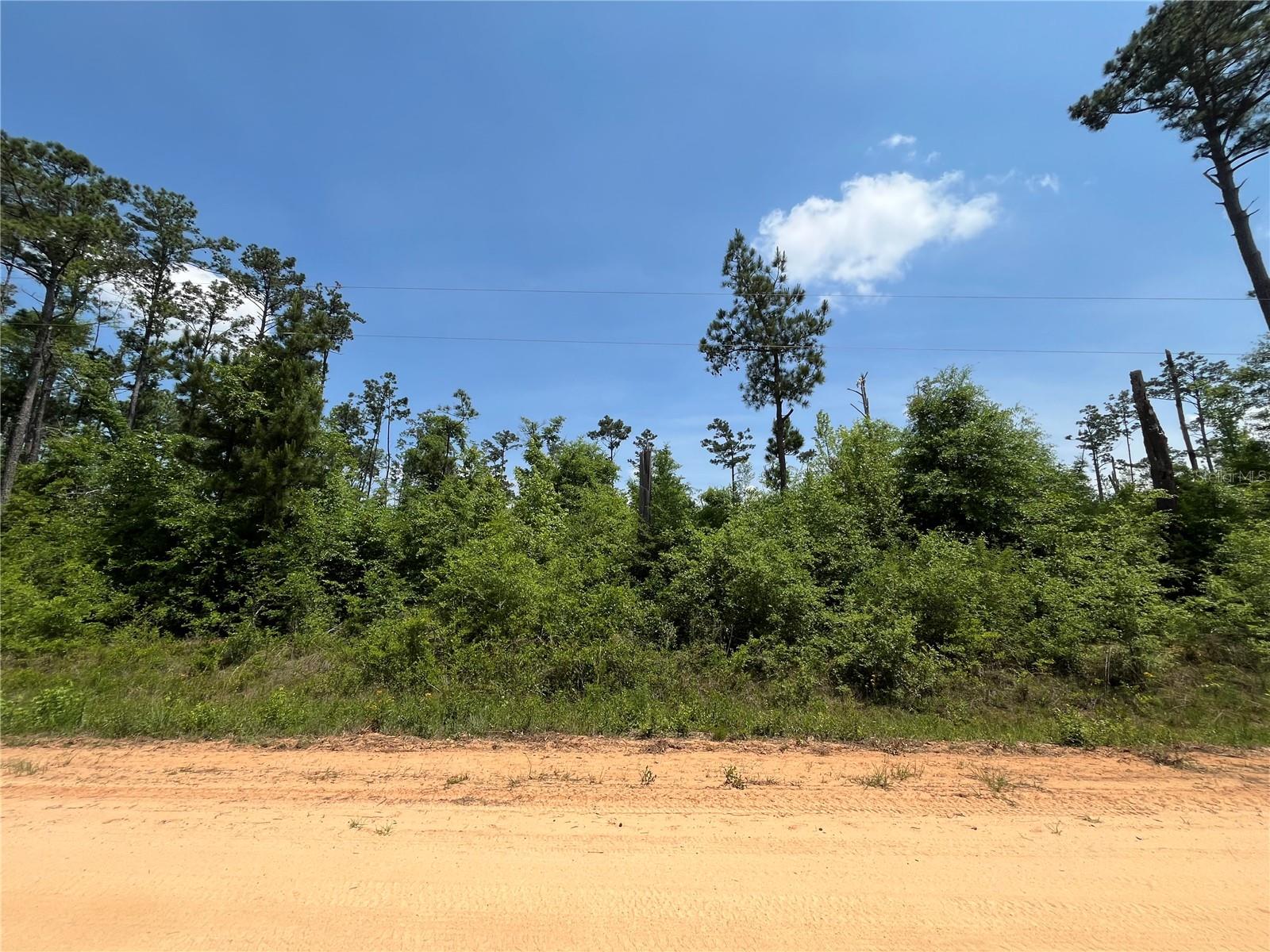 Image 6 of 8 For Tbd Grand Quiviera Circle
