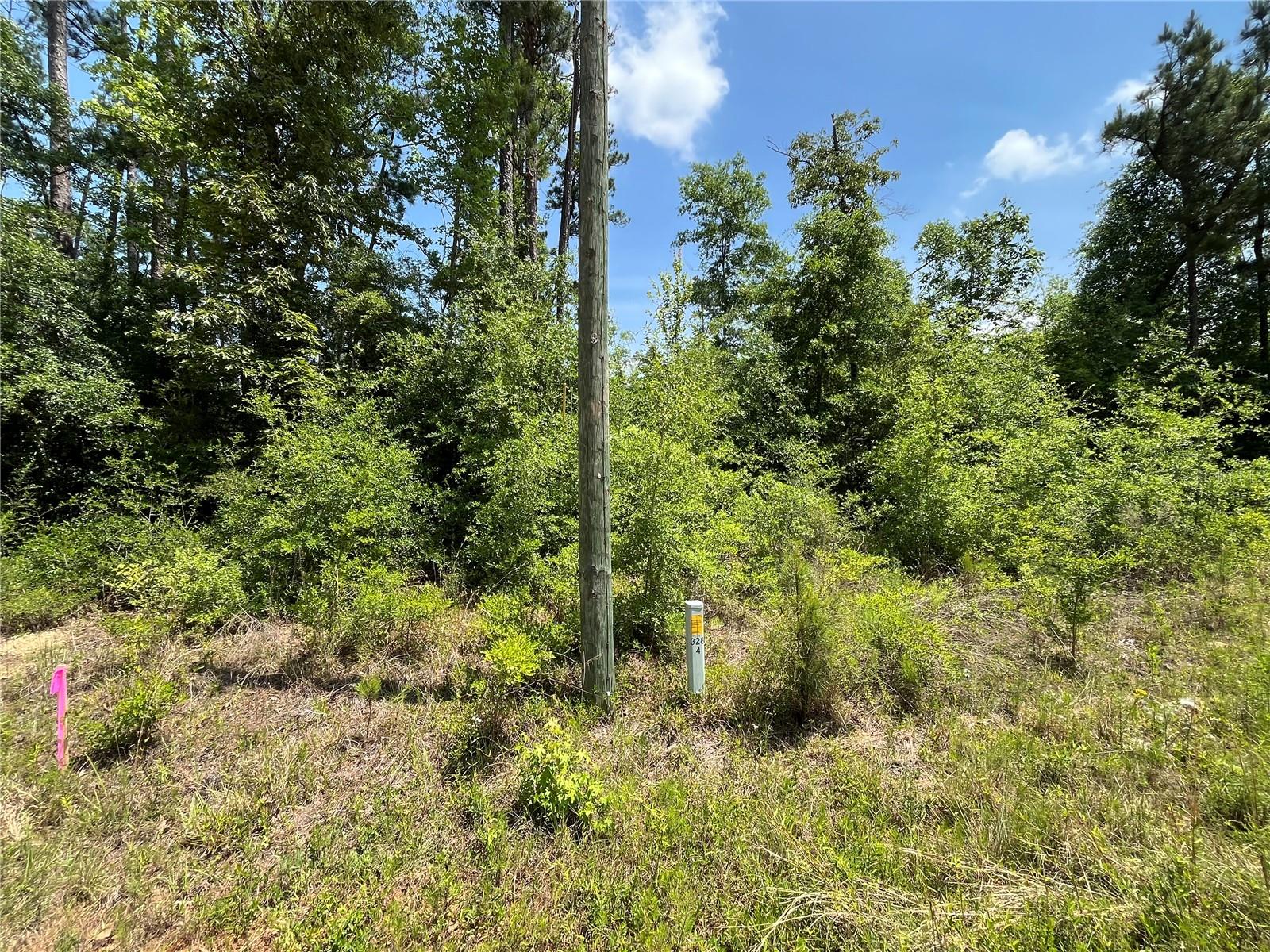 Image 7 of 8 For Tbd Grand Quiviera Circle