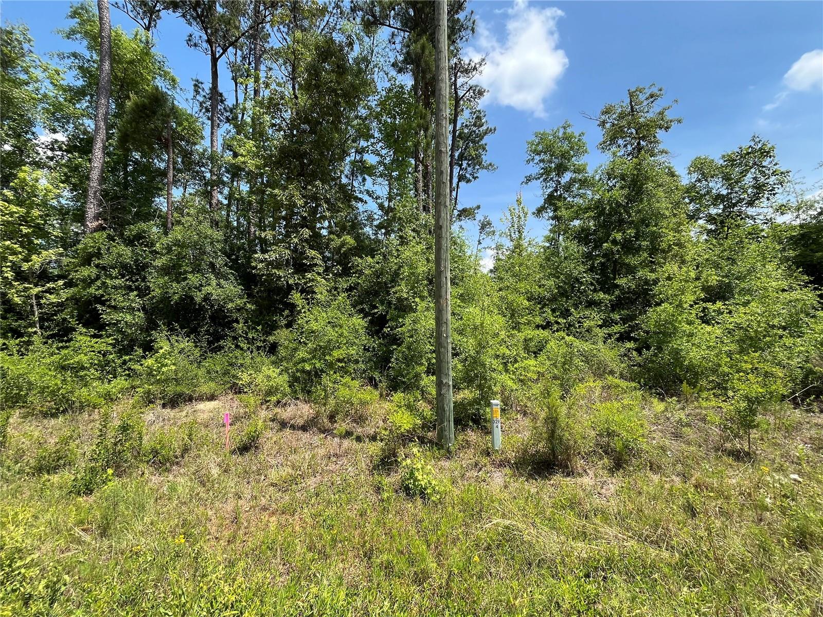Image 8 of 8 For Tbd Grand Quiviera Circle