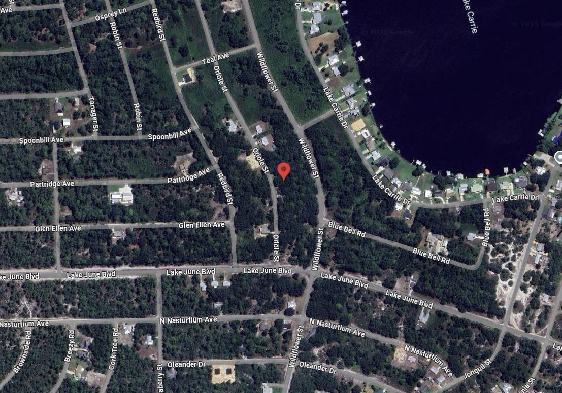 Details for 1012 Wildflower Street, LAKE PLACID, FL 33852
