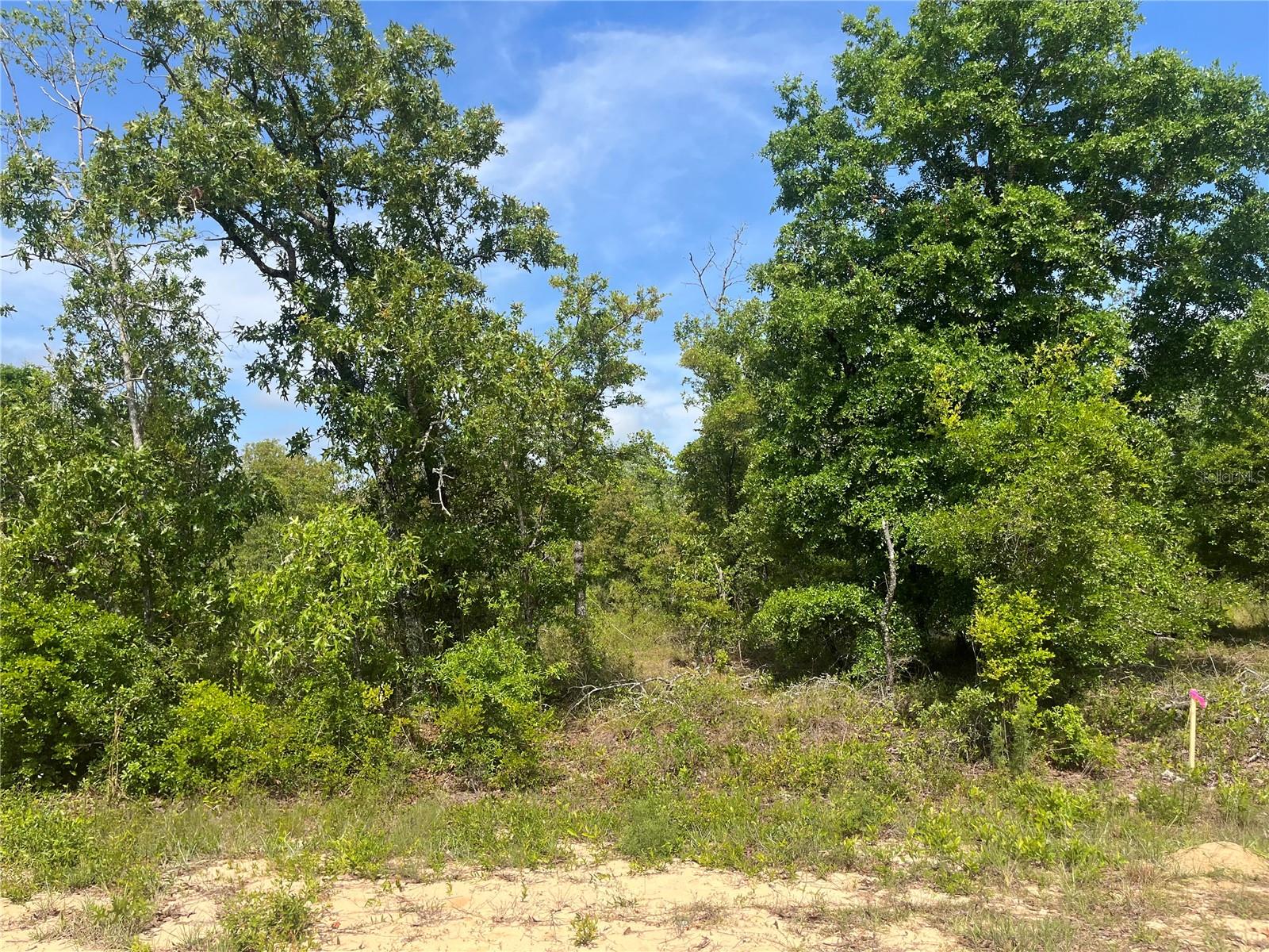 Details for  Rome Avenue , ALFORD, FL 32420