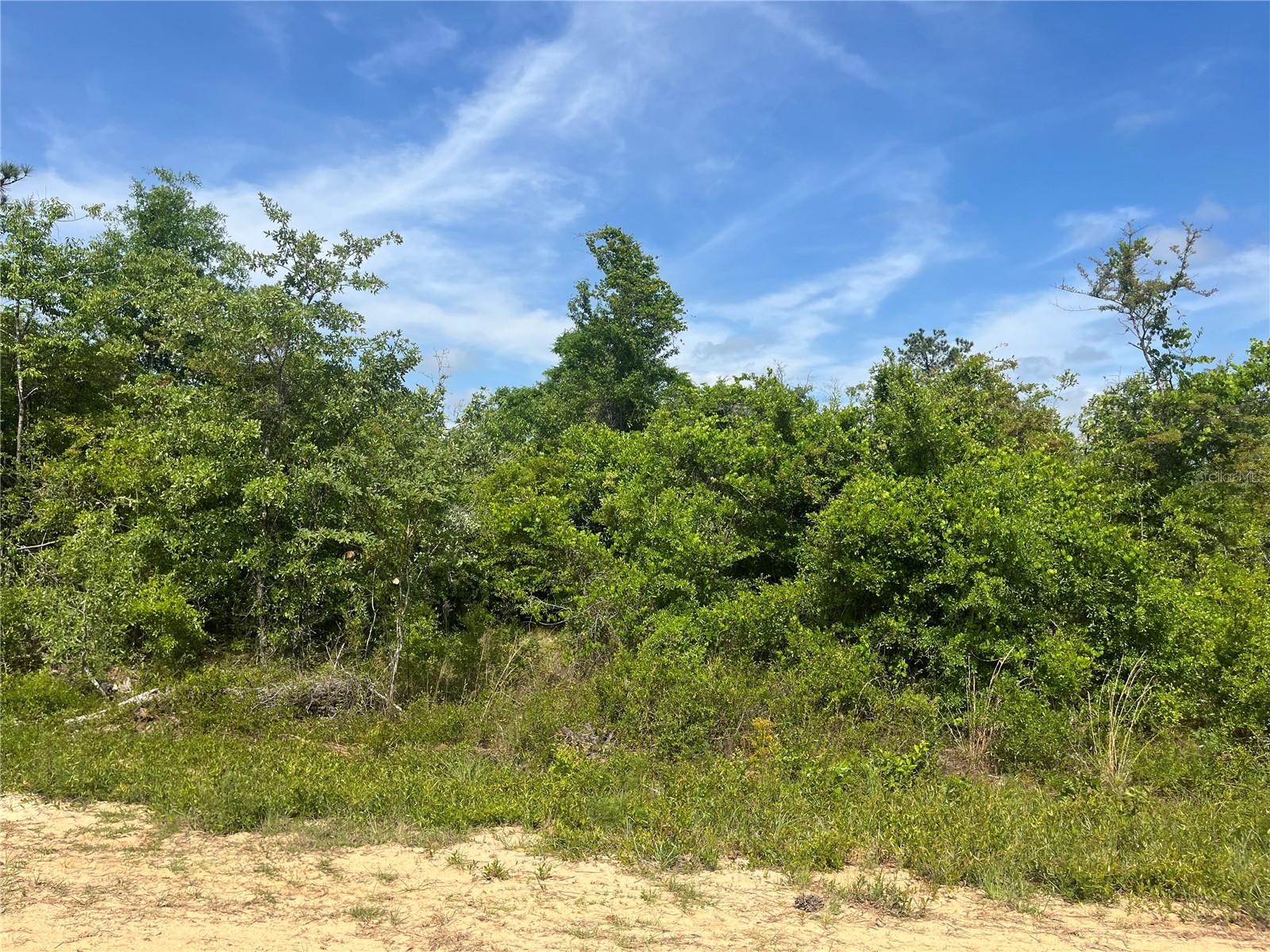 Image 7 of 7 For  Rome Avenue 