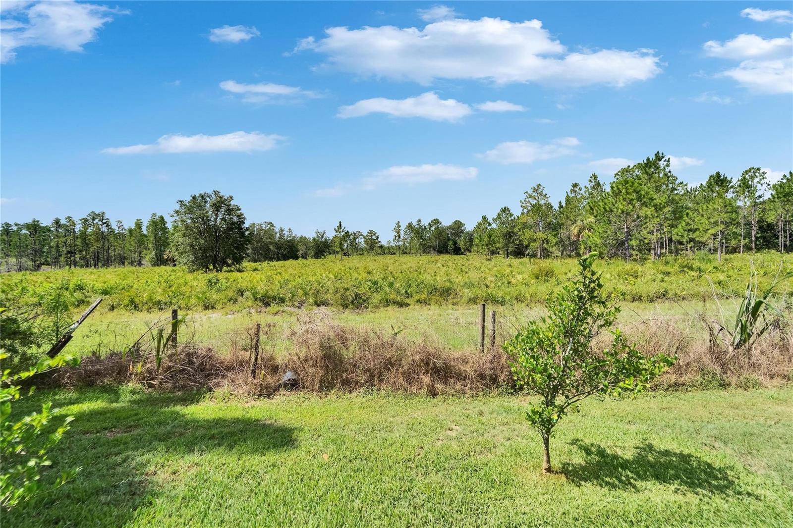 Image 30 of 35 For 8749 Ashworth Drive