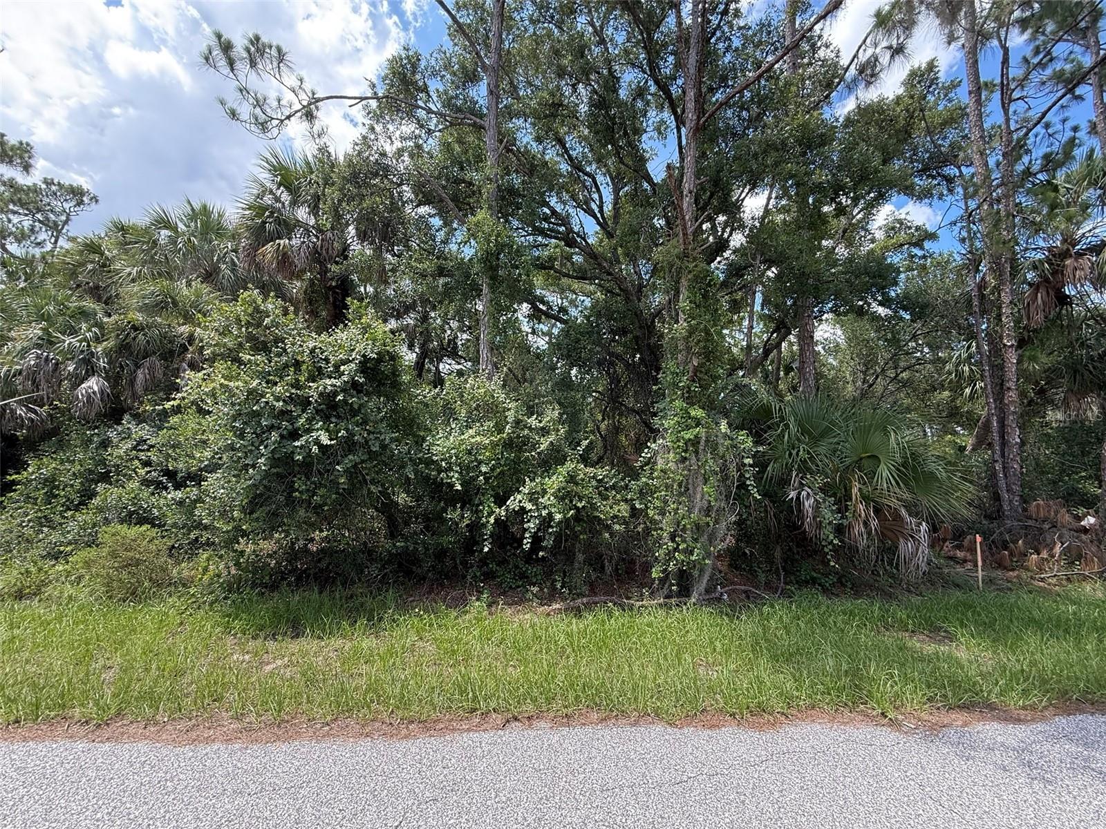 Details for Tbd San Salvador Road, NORTH PORT, FL 34291