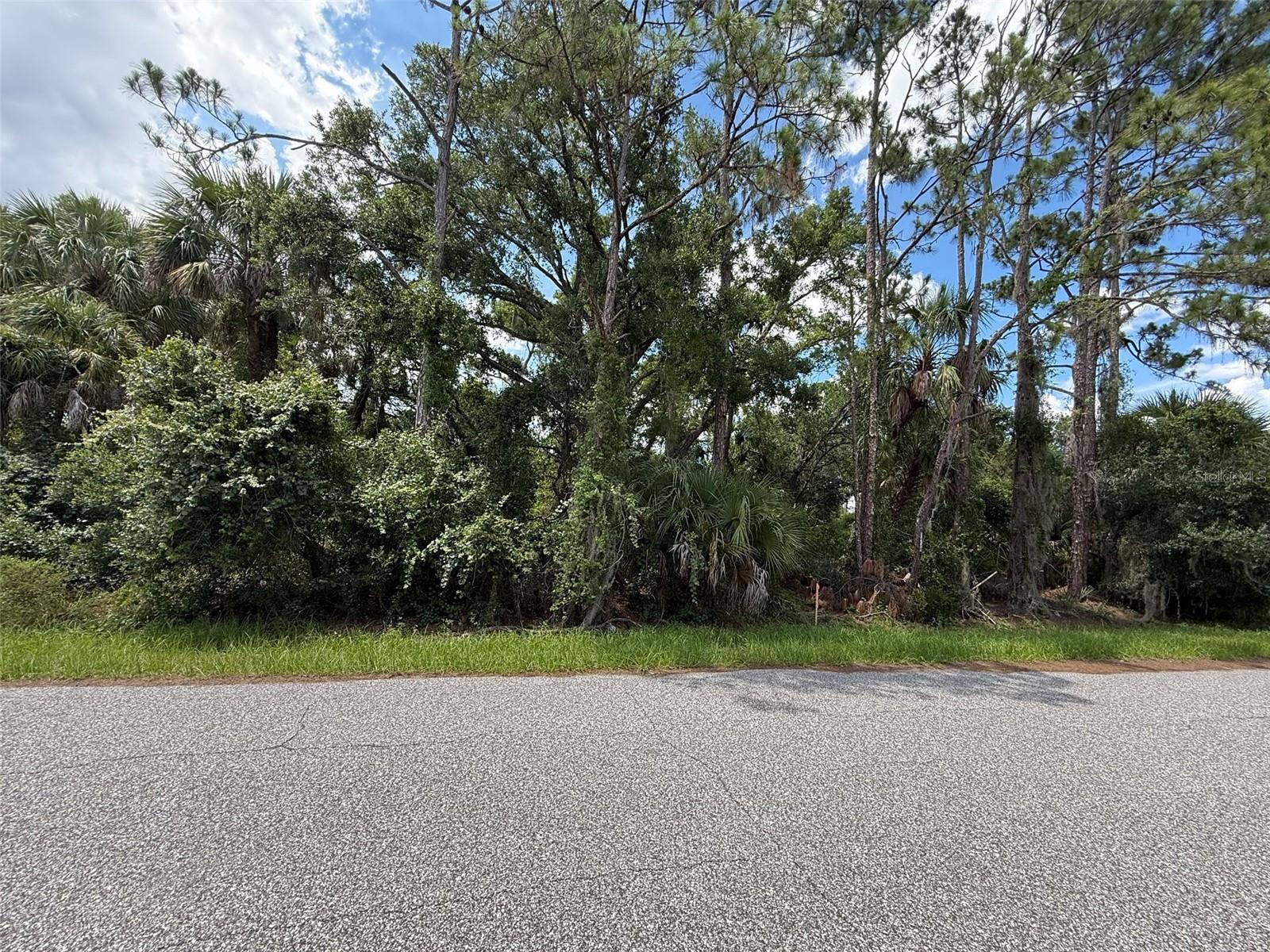 Image 2 of 11 For Tbd San Salvador Road