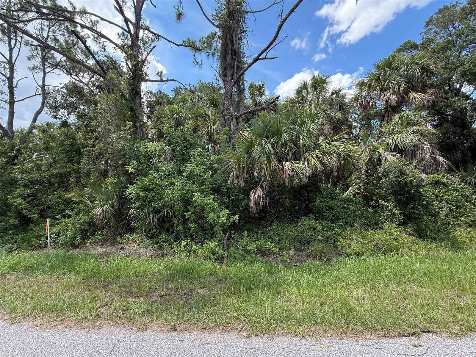 Image 4 of 11 For Tbd San Salvador Road