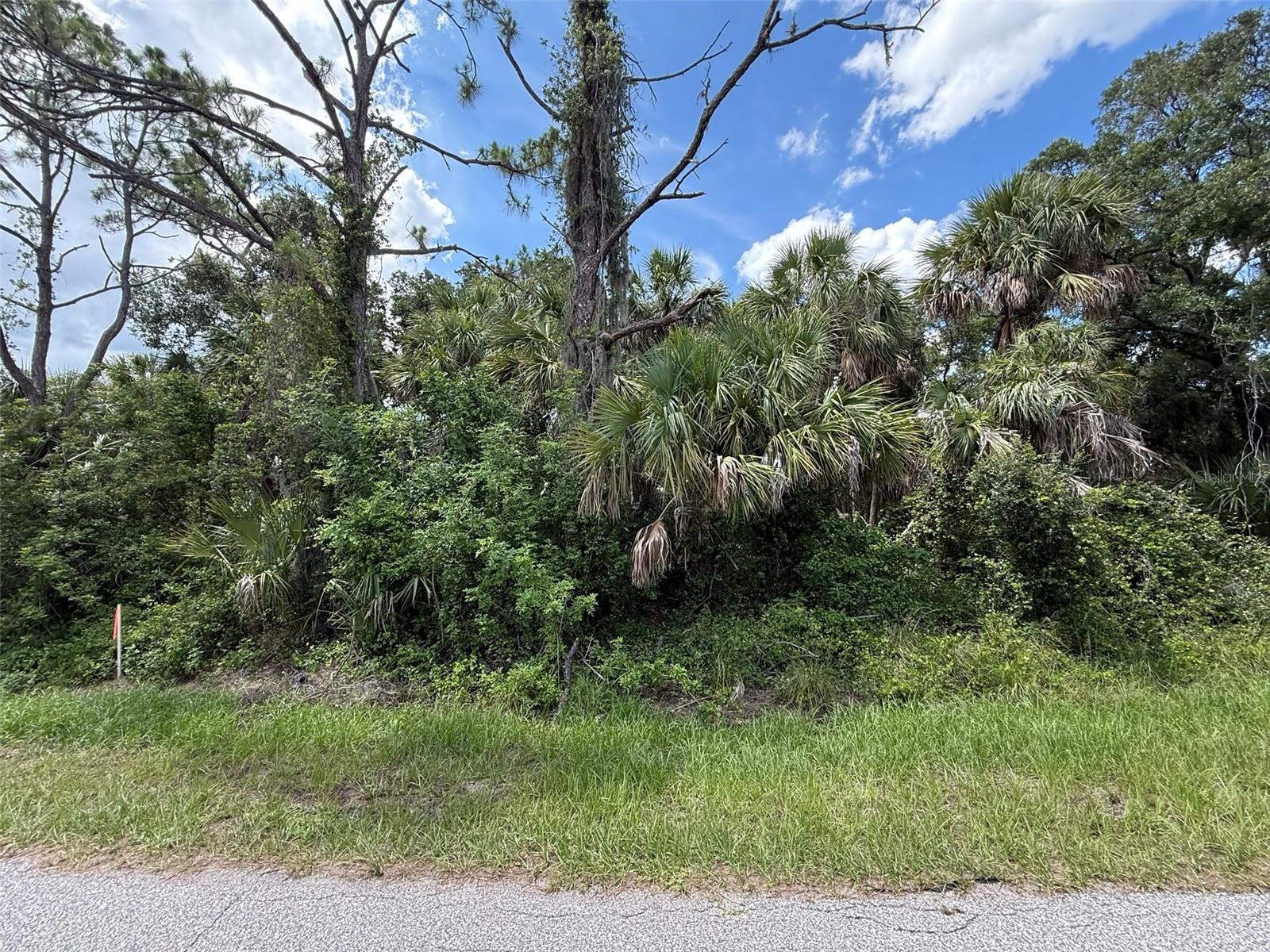 Image 6 of 11 For Tbd San Salvador Road